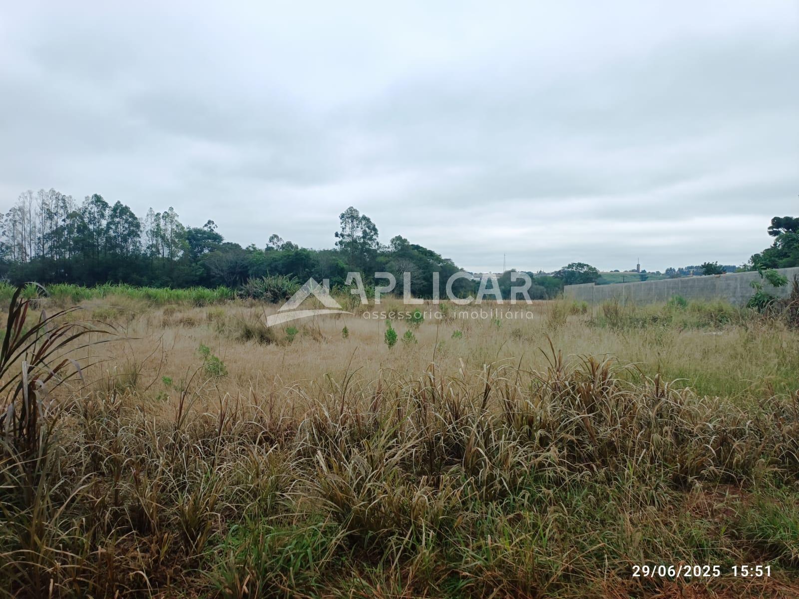 Chácara à venda, Lote Grande, FOZ DO IGUACU - PR