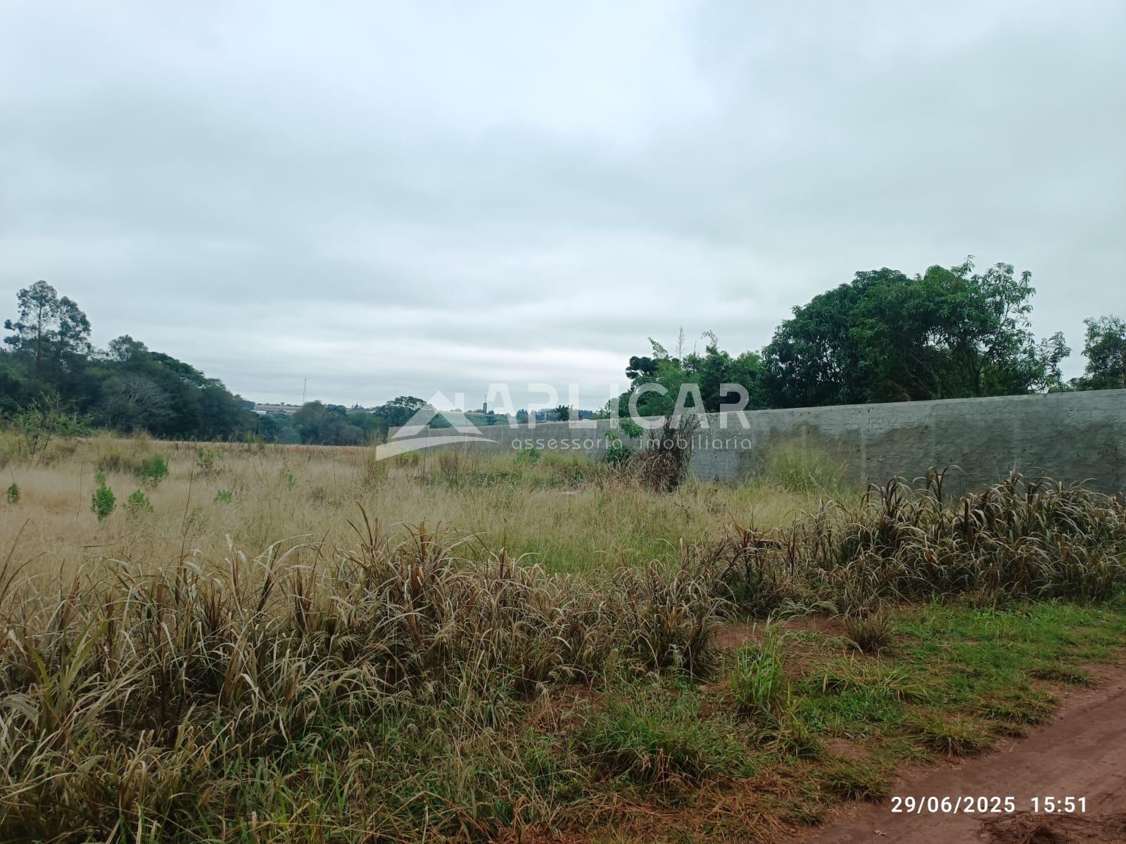 Chácara à venda, Lote Grande, FOZ DO IGUACU - PR