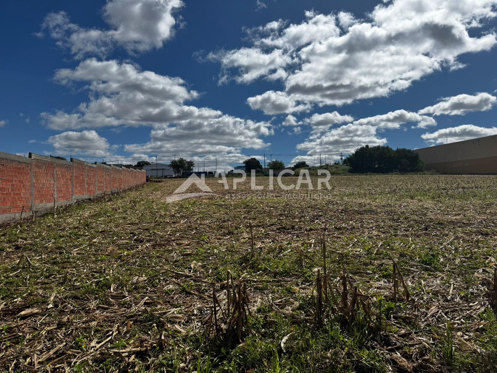TERRENO COMERCIAL NA ÁREA INDUSTRIAL - FOZ DO IGUAÇU PR