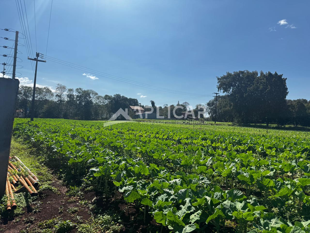 Terreno à venda com 2.000m  no LOTEAMENTO  MATA VERDE, FOZ DO ...