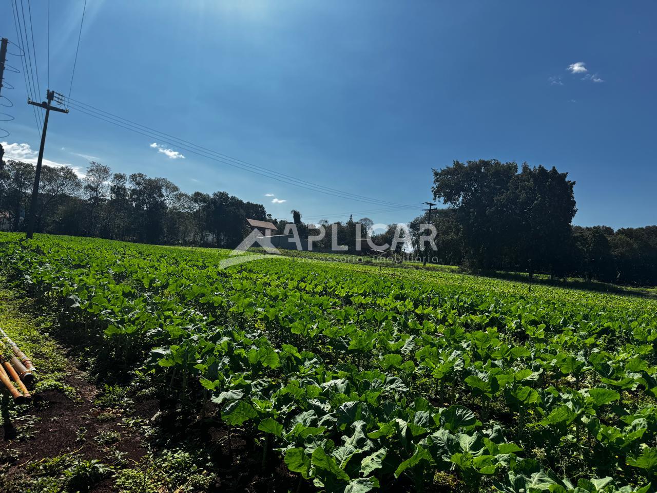 Terreno à venda com 2.000m  no LOTEAMENTO  MATA VERDE, FOZ DO ...