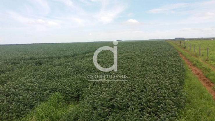 Areá Rural com 34,00 ha, Ótima localização