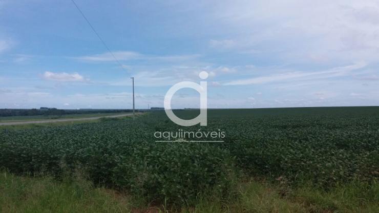 Areá Rural com 34,00 ha, Ótima localização