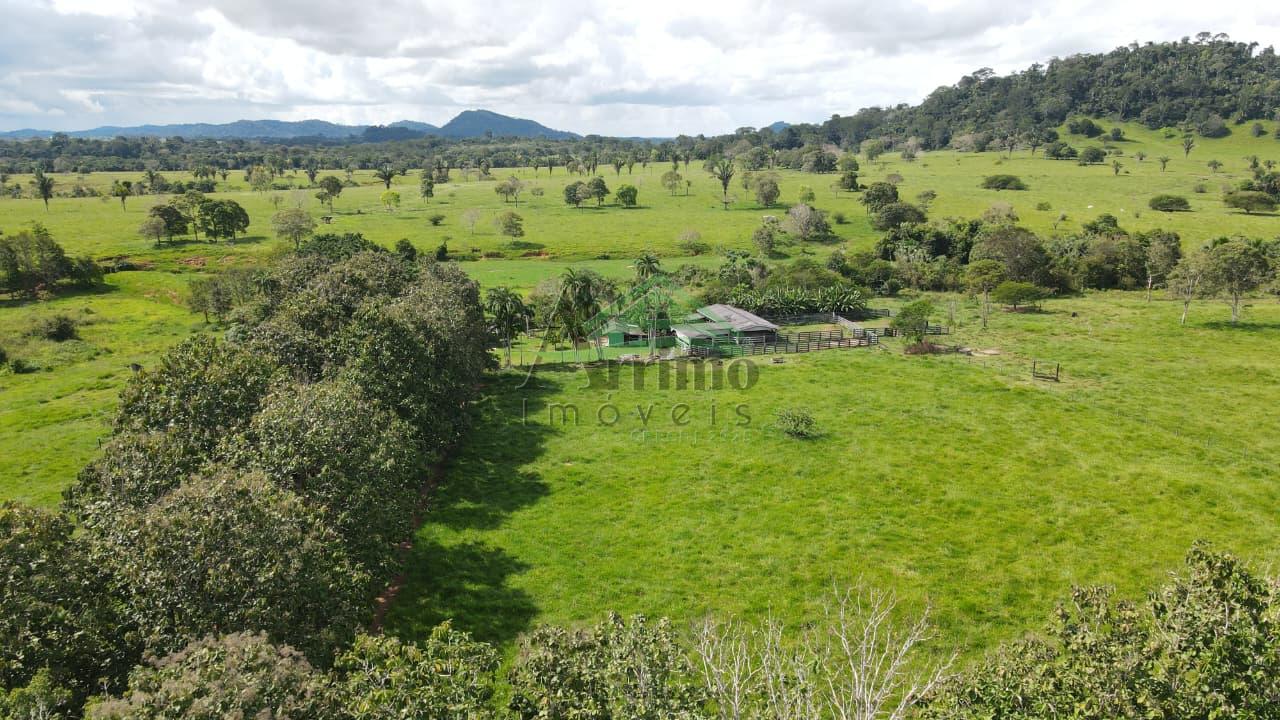 Fazenda ? Venda com 34,142 alqueires em Ouro Preto Do Oeste - RO