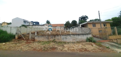 Jardim Am?rica - Oportunidade Terreno ? Venda - Vila Estrela- ...