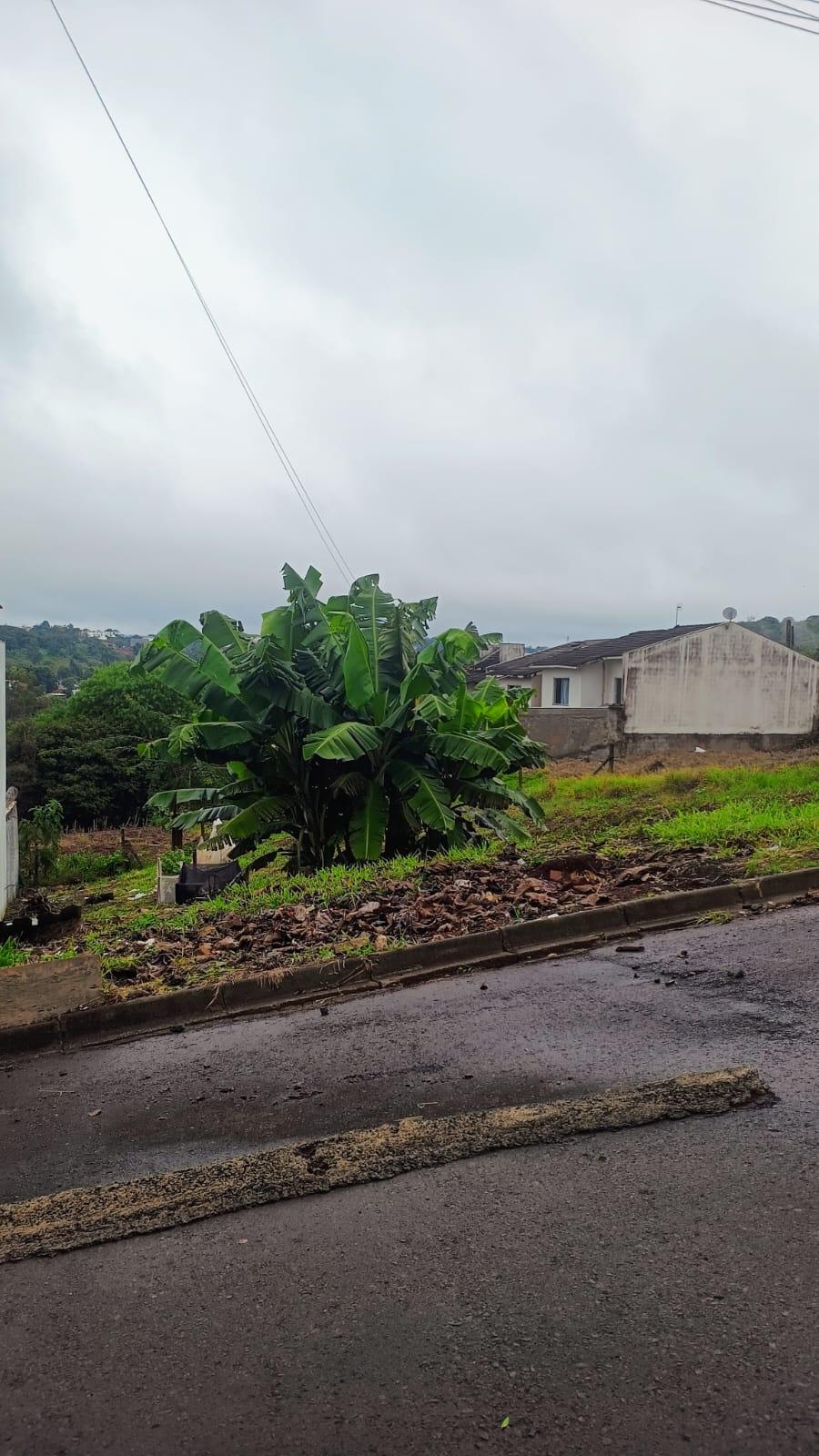Terreno à venda no bairro Aeroporto em Pato Branco - PR