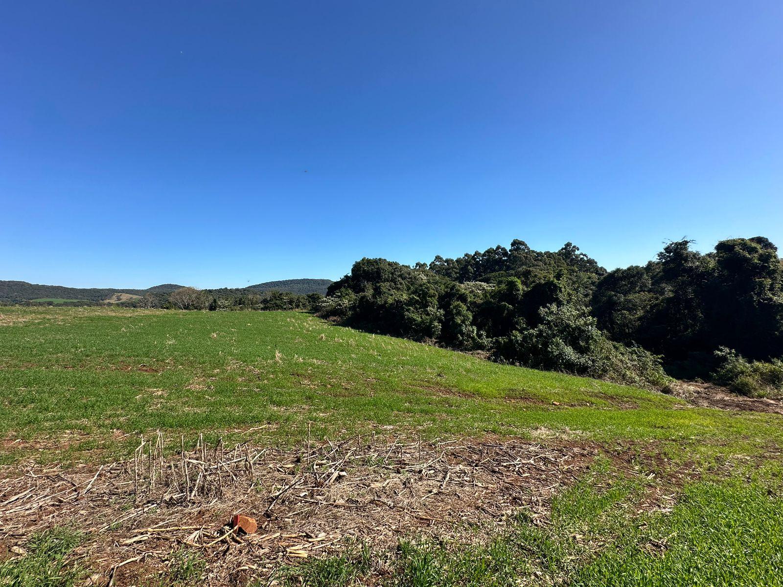 Ch?cara ? venda na comunidade do Caravaggio em Vitorino - PR