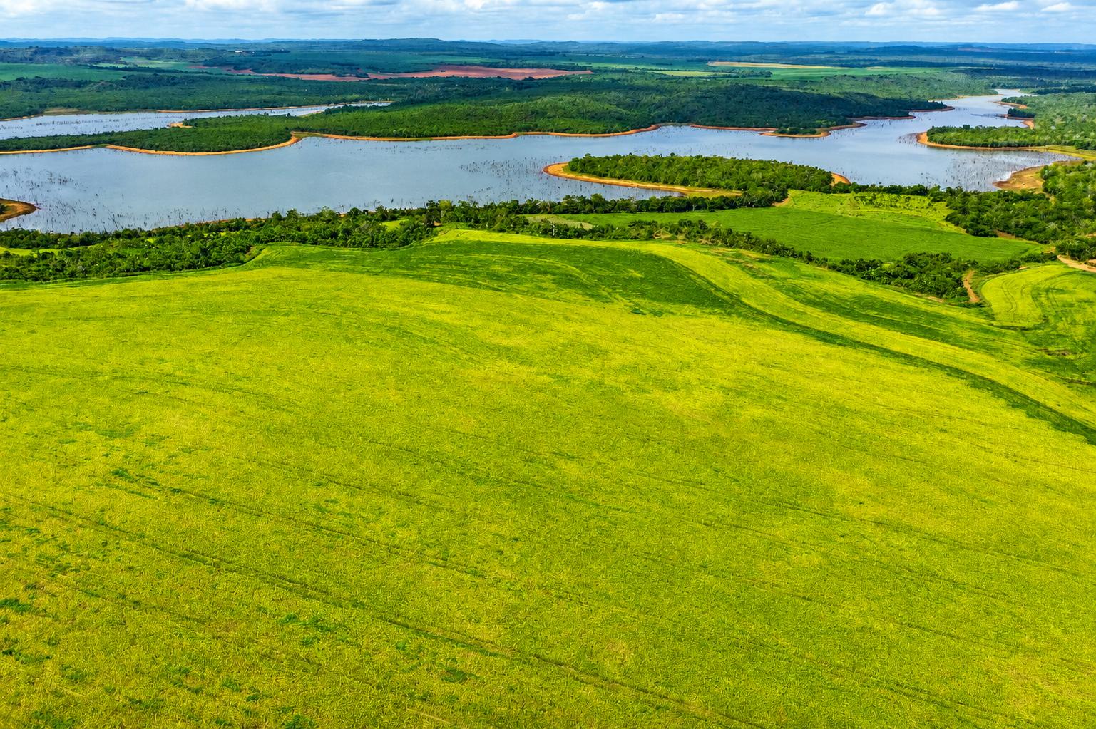 Fazenda de porteira fechada à venda em Palmeiras do Tocantins ...