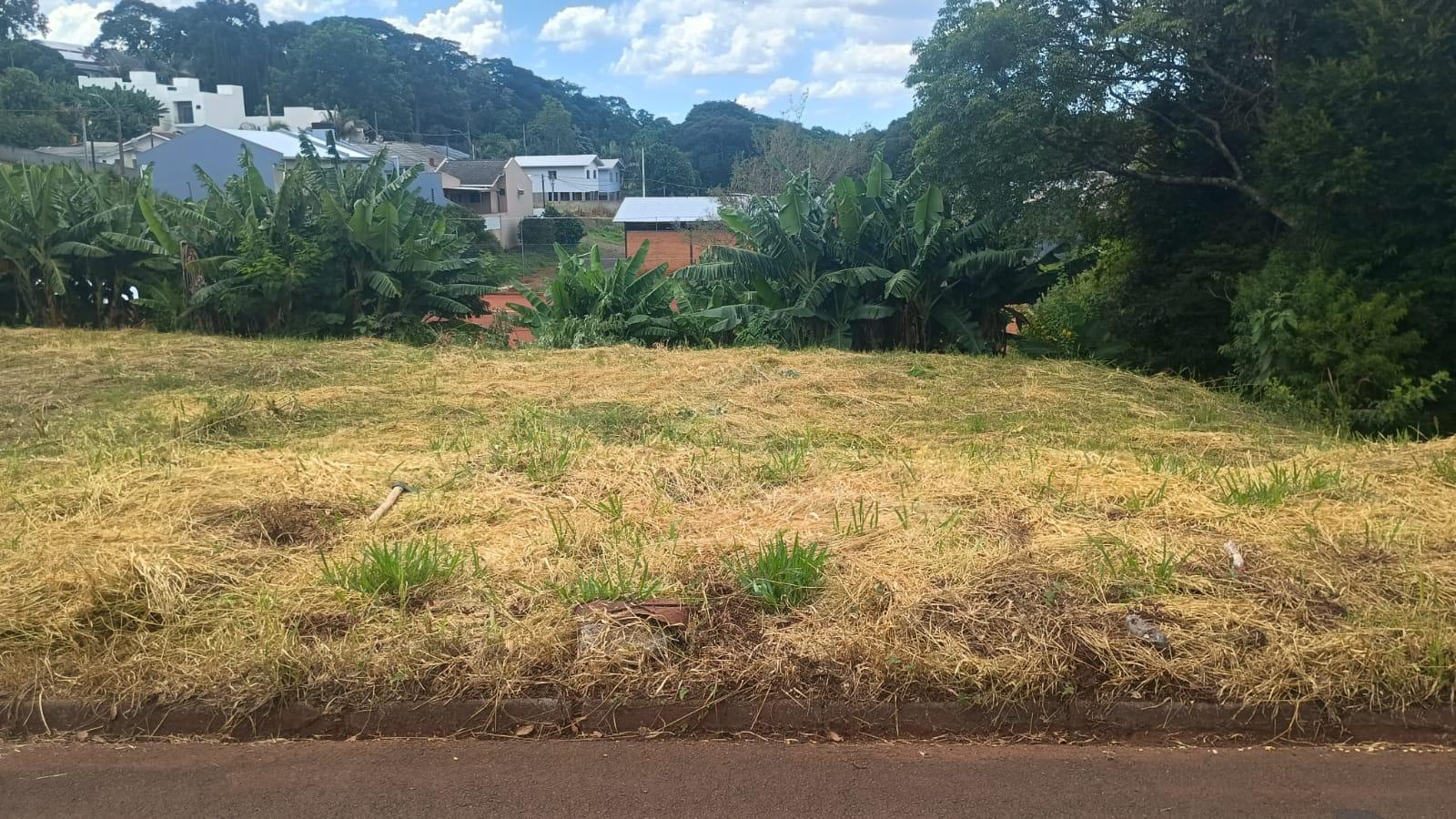 Lote ? venda no Bairro Cadorin em Pato Branco  PR