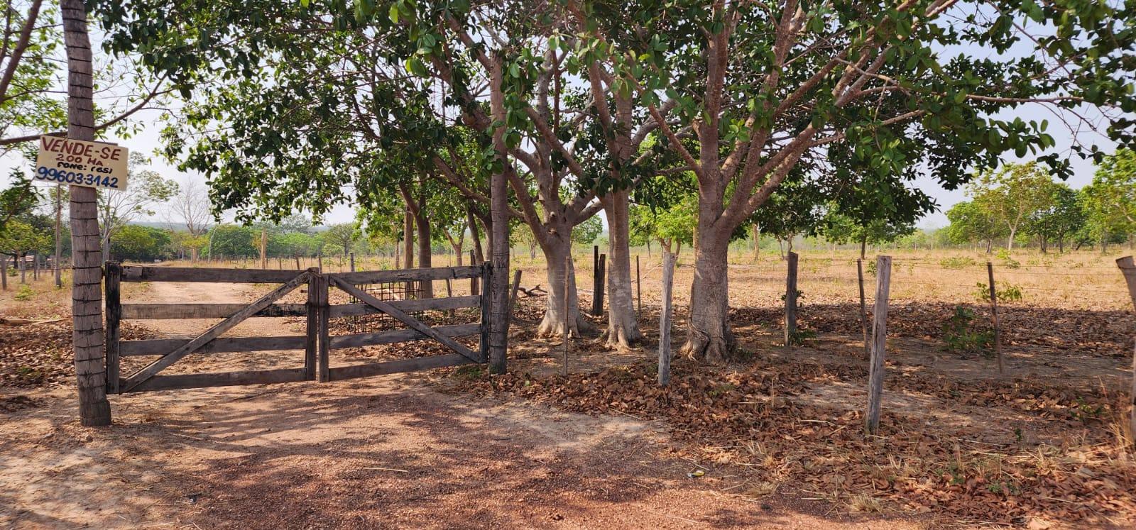 Fazenda à Venda com 200 ha em Nossa Senhora do Livramento em M...