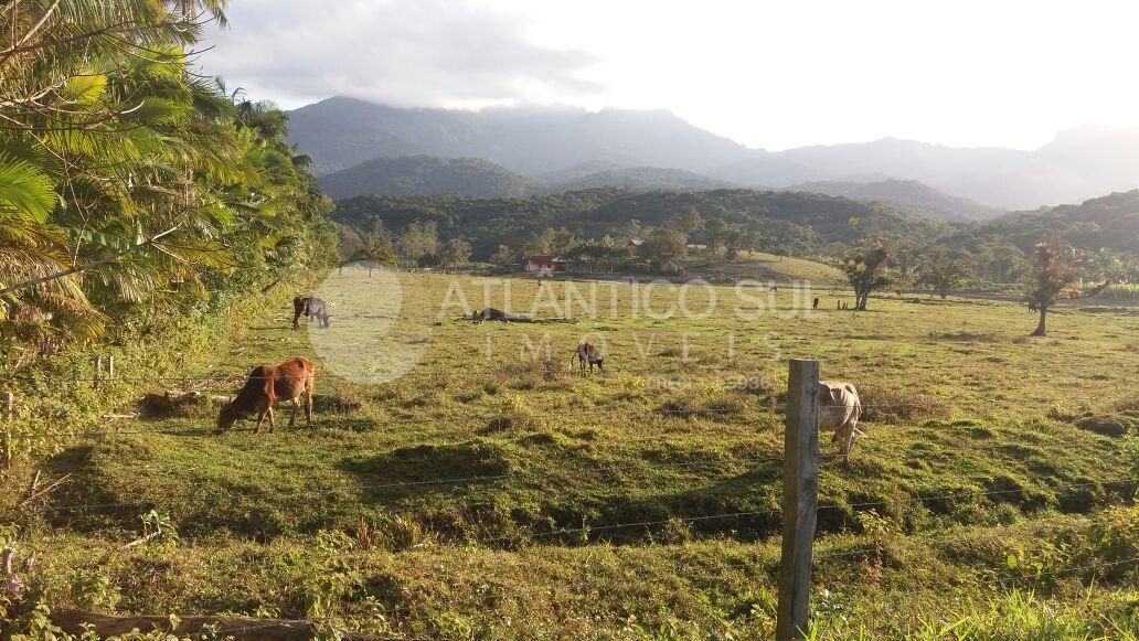 Chácara à venda        Alexandra Matinhos, PARANAGUA - PR
