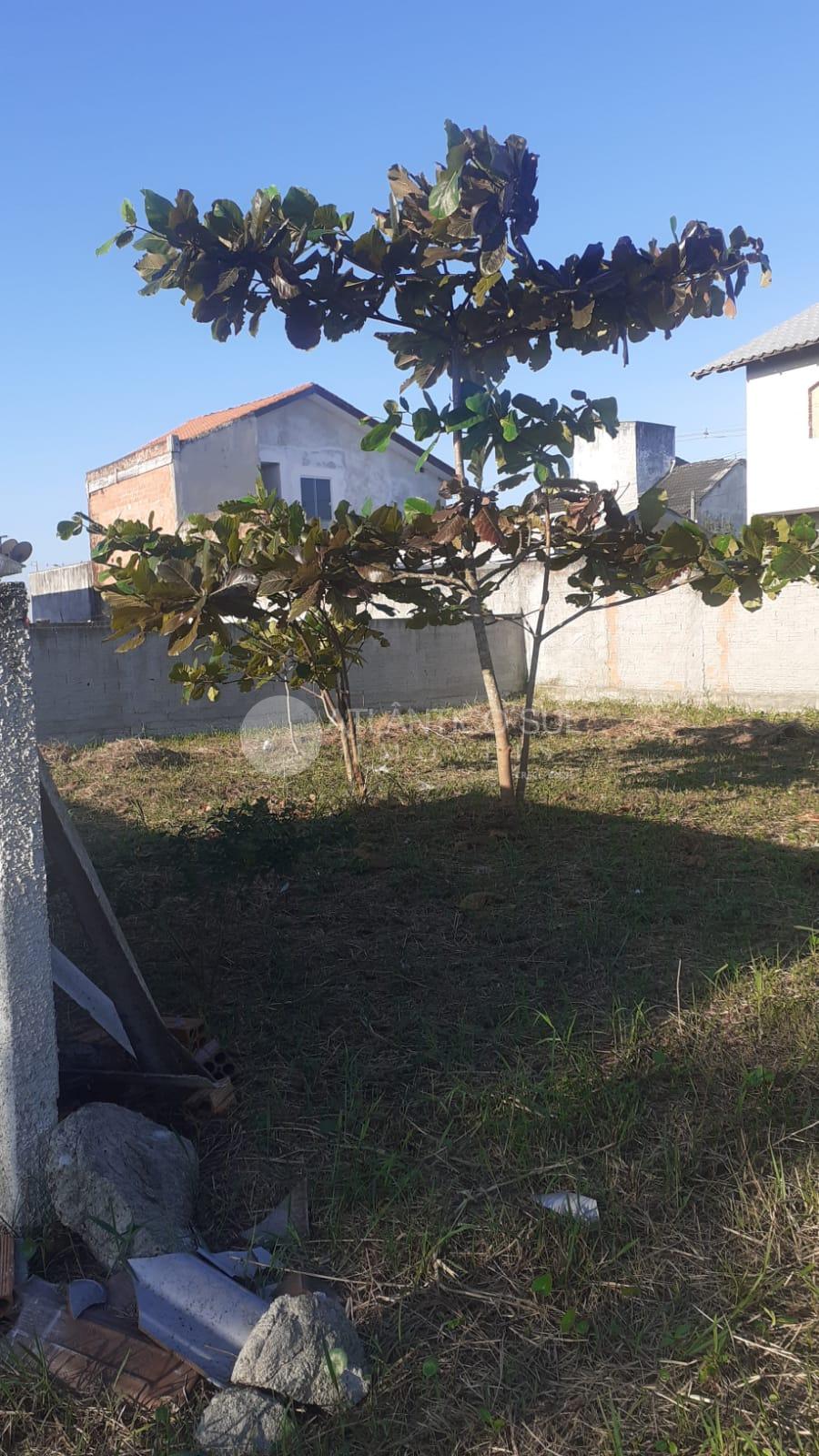 Terreno à venda, Marissol, a passos do mar, PONTAL DO PARANA - PR