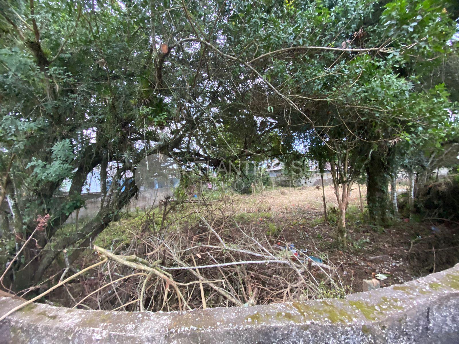 OPORTUNIDADE PARA CONSTRUTORES NA PRAIA DE PONTAL DO SUL
