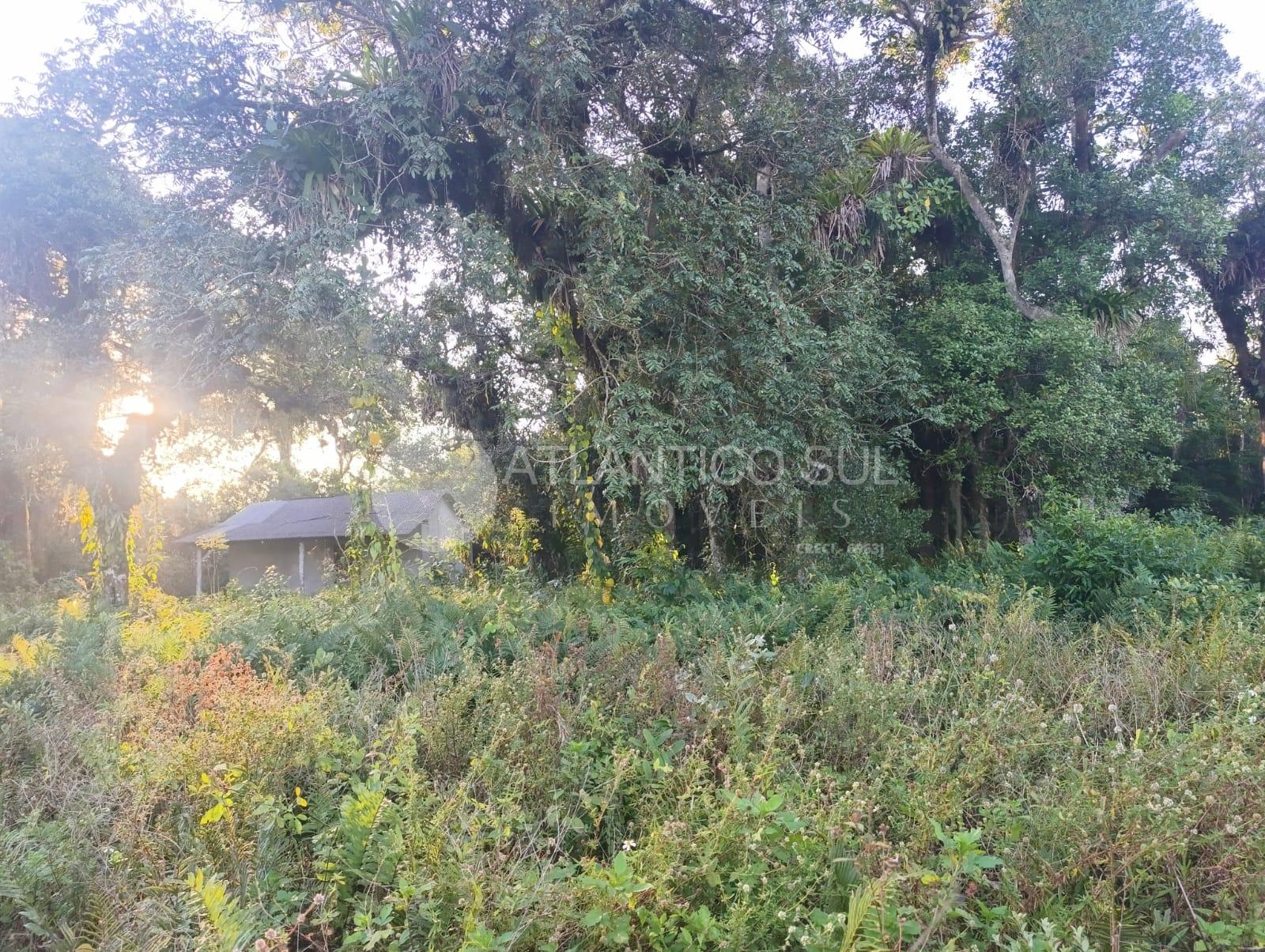 Chácara com riacho nos fundos à venda, SHANGRI-LÁ, PONTAL DO P...