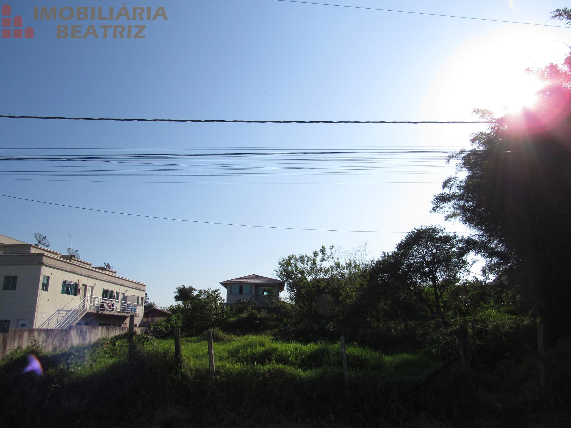 Frente