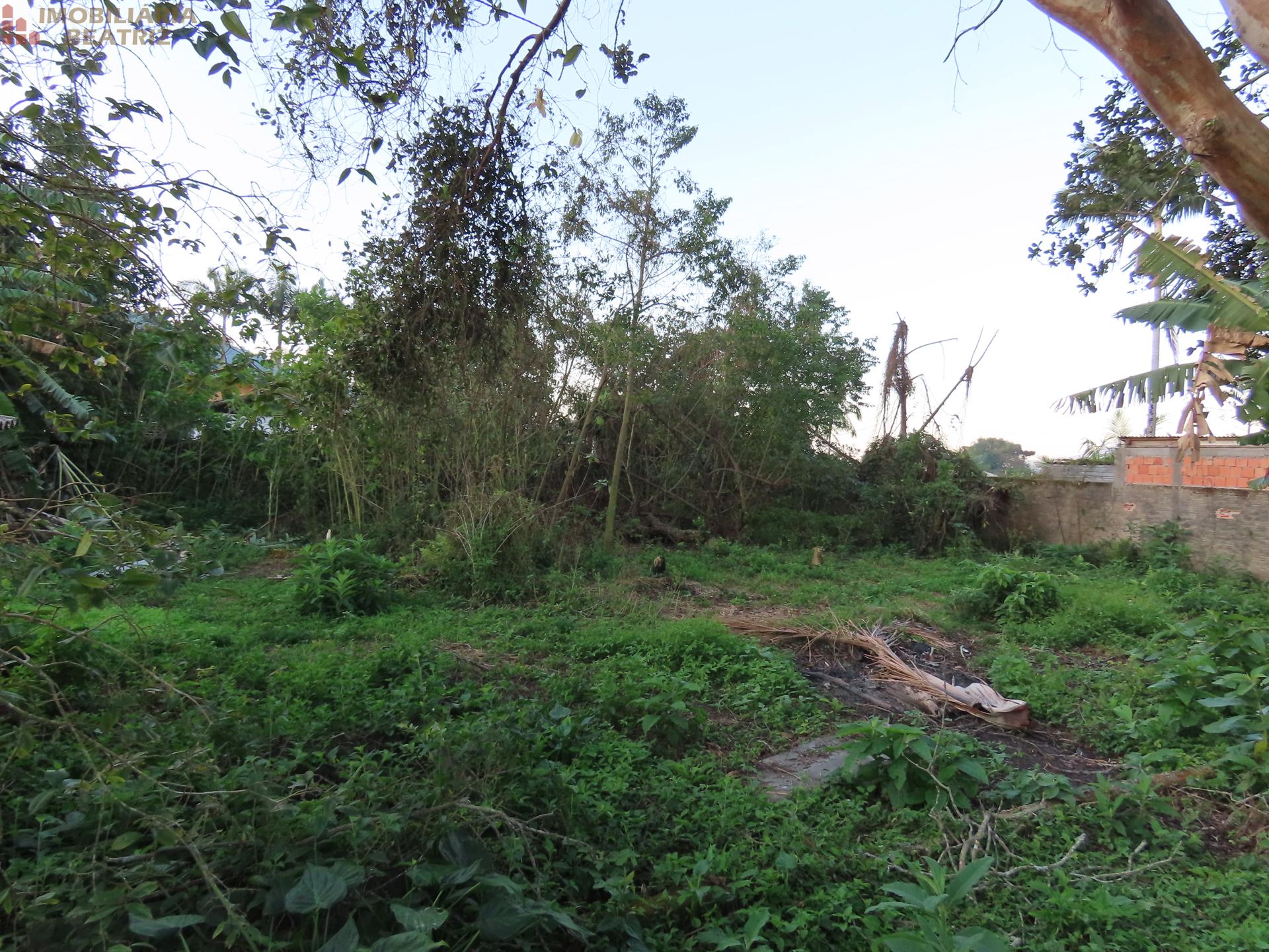 Imobiliria Beatriz - Penha - SC