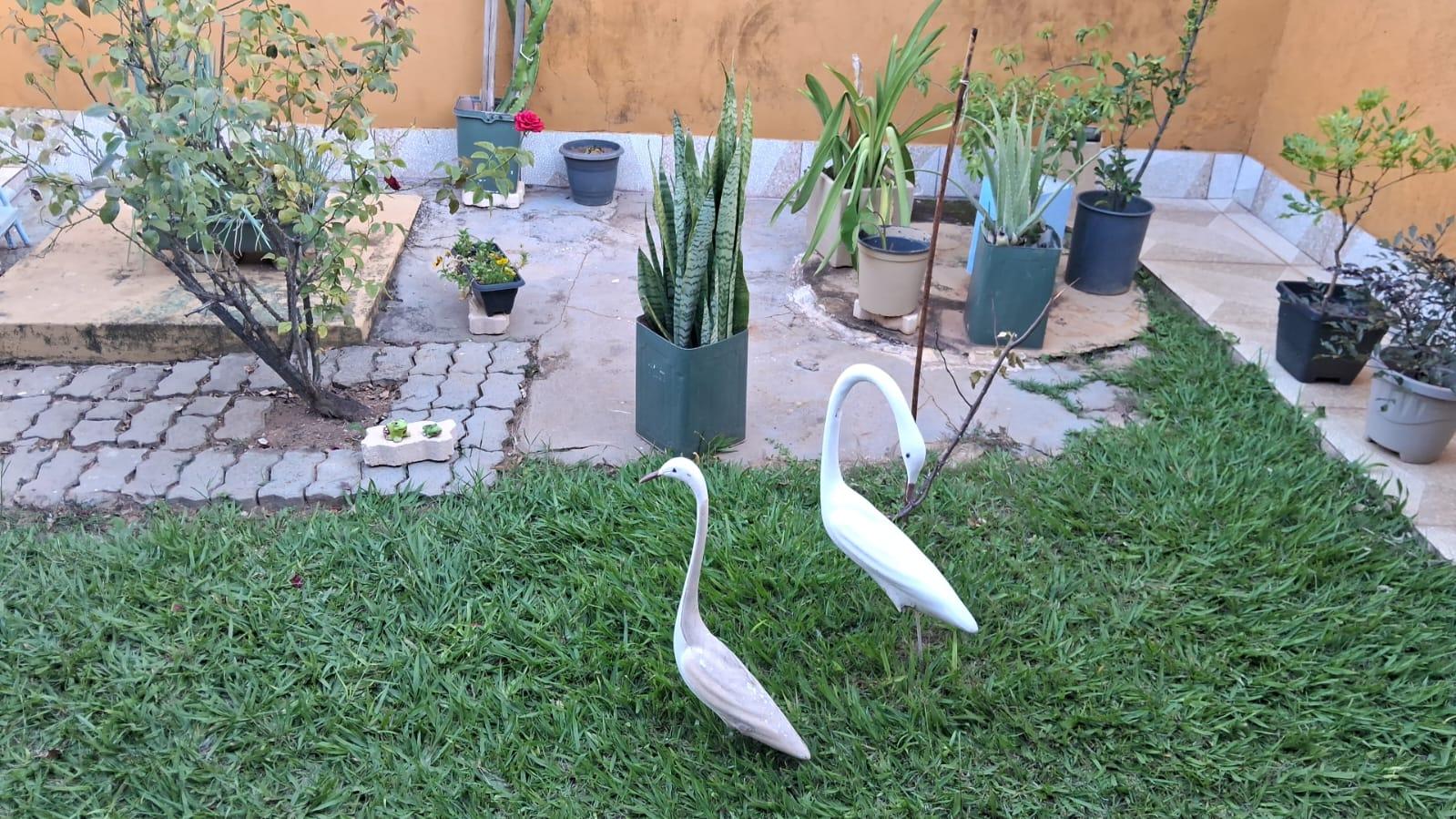 Casa, 2 quartos, 200 m² - Foto 4