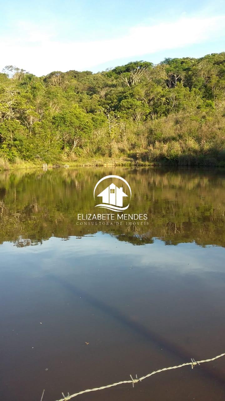 Sítio à venda com 3 quartos, 700m² - Foto 3