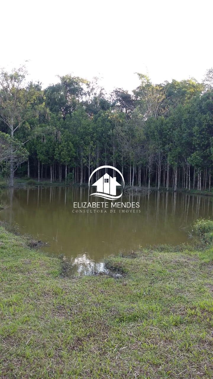 Sítio à venda com 3 quartos, 700m² - Foto 6