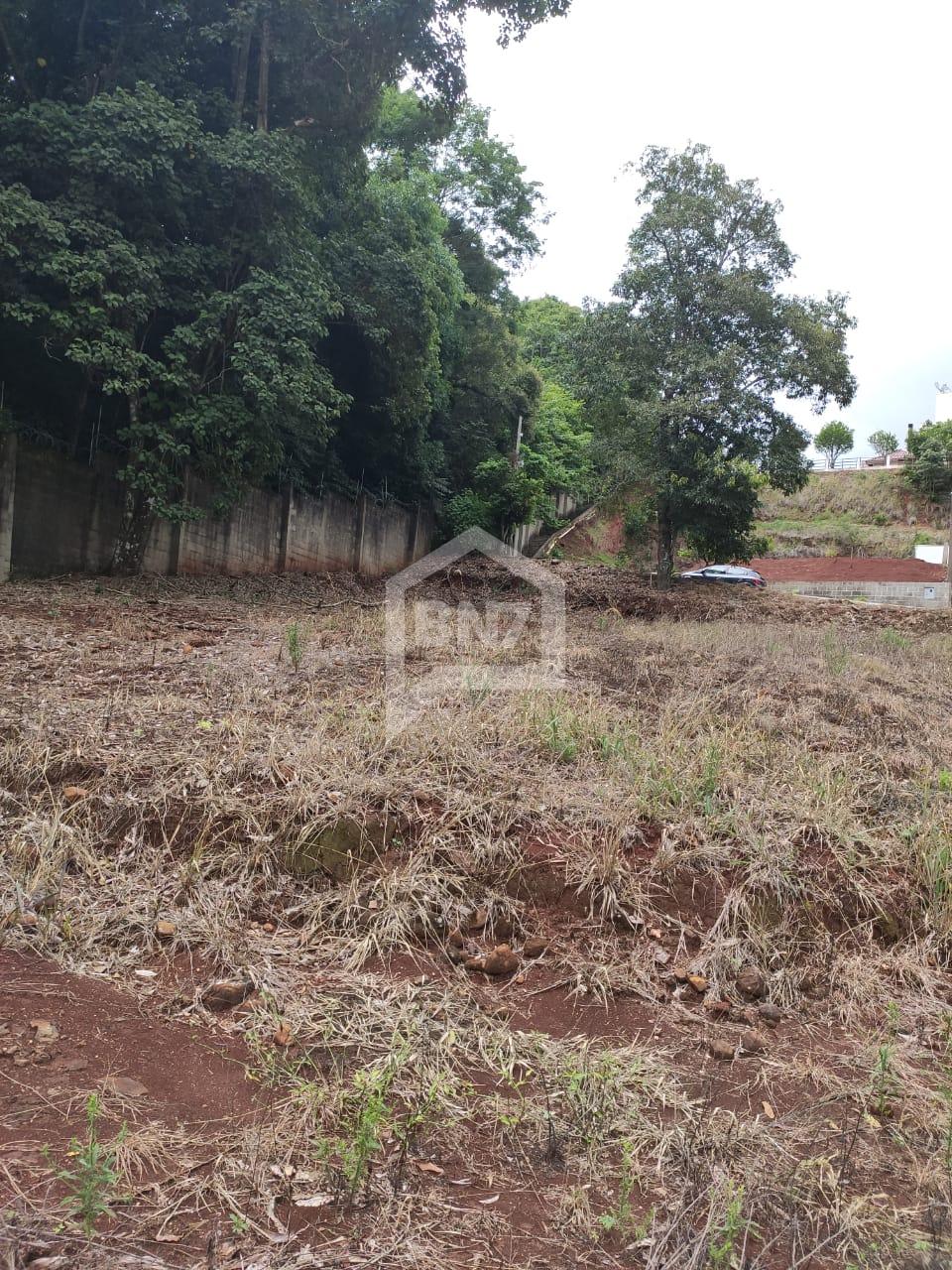 Vieira Imveis em Francisco Beltro PR