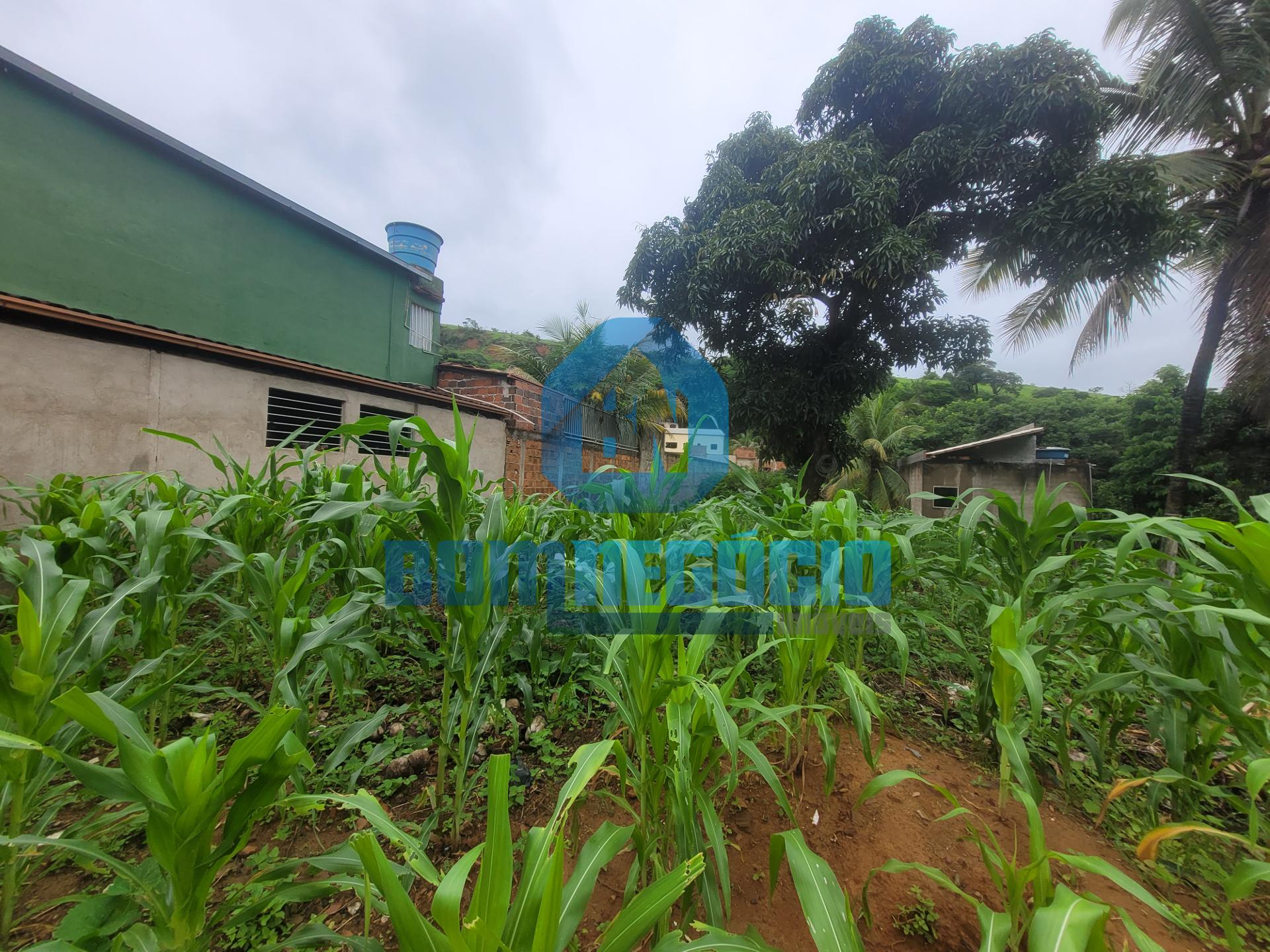 Lote à venda, JARDIM DO TREVO, GOVERNADOR VALADARES - MG