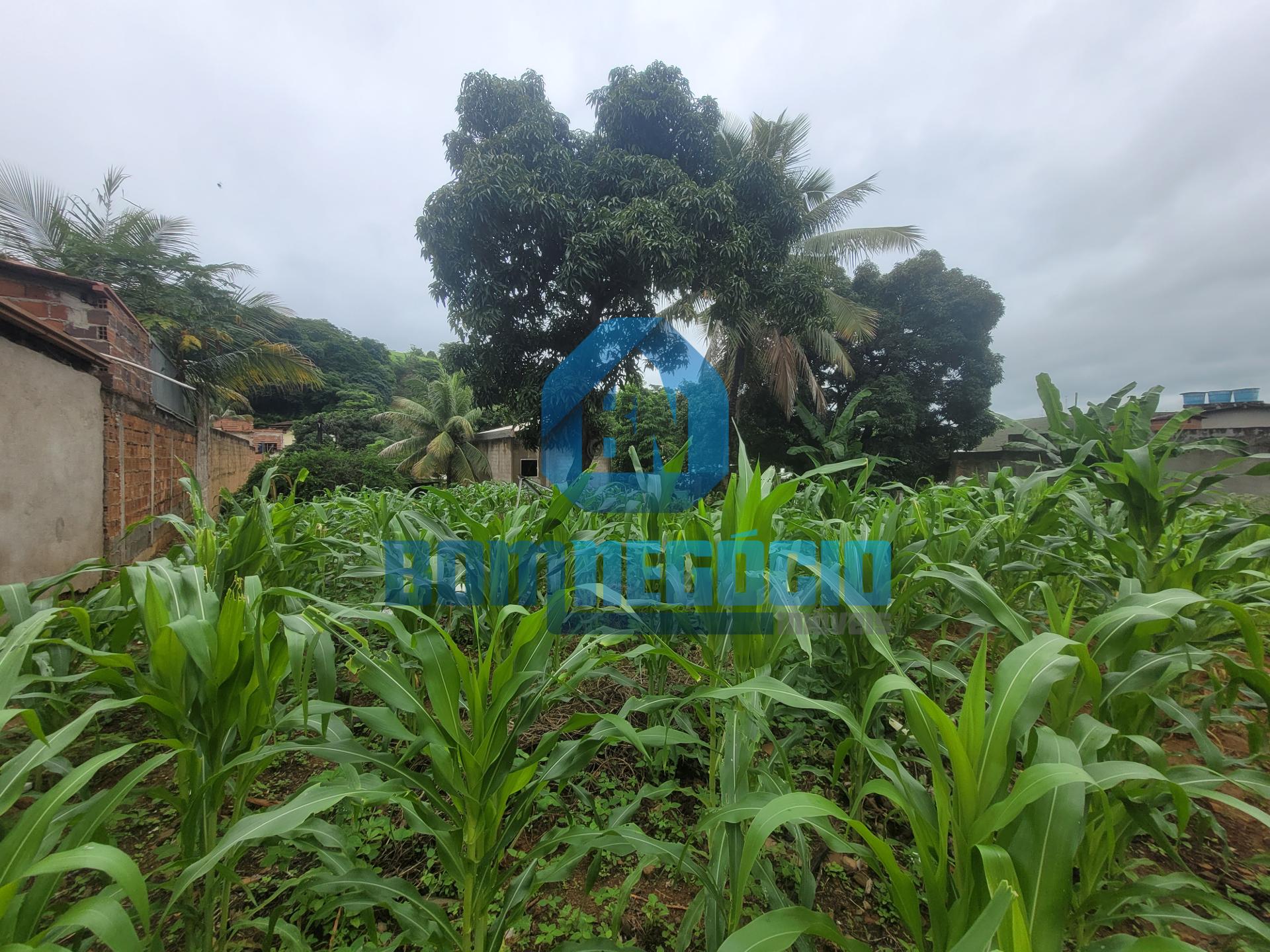 Lote à venda, JARDIM DO TREVO, GOVERNADOR VALADARES - MG
