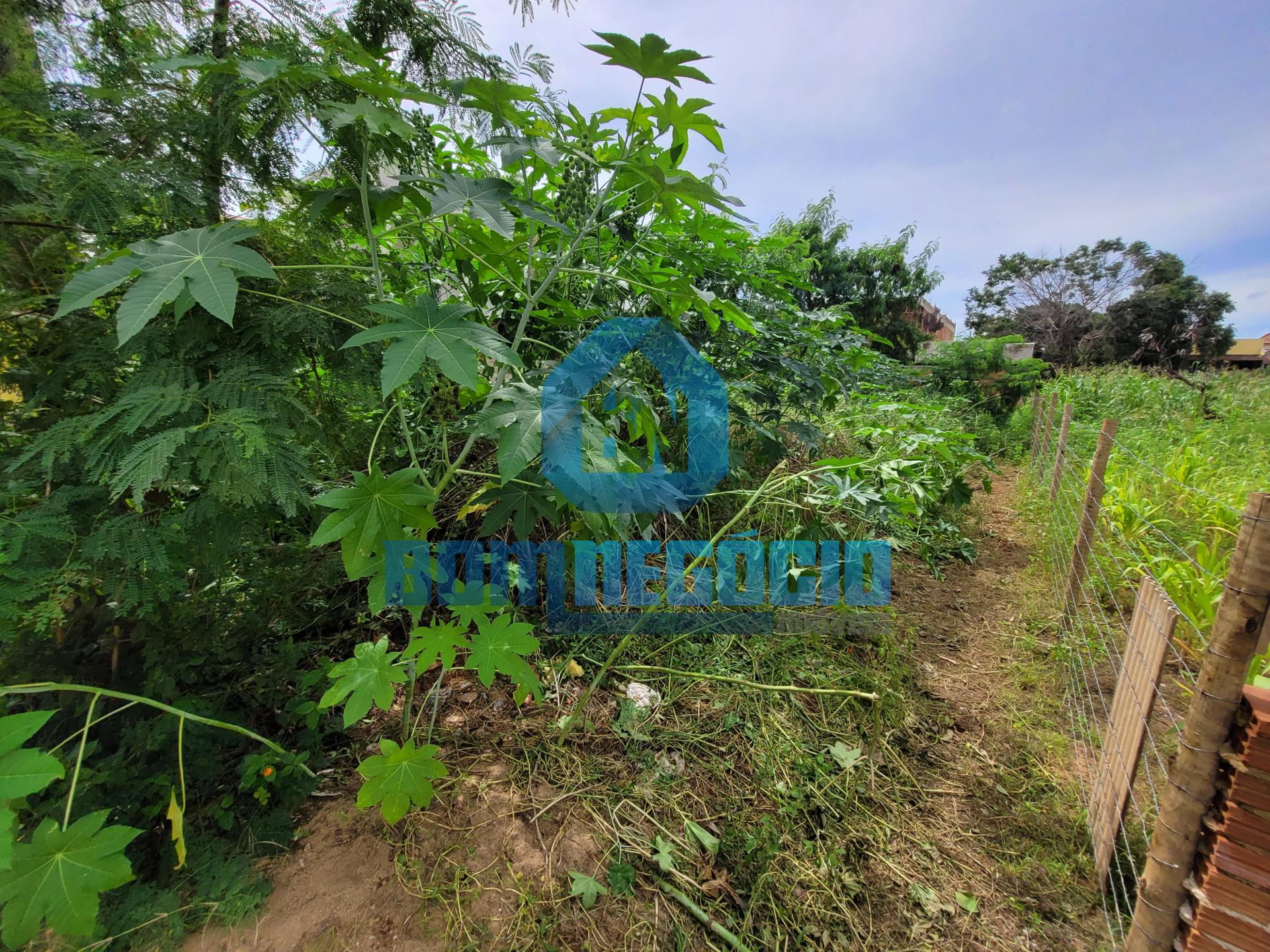Lote à venda, JARDIM ALICE, GOVERNADOR VALADARES - MG