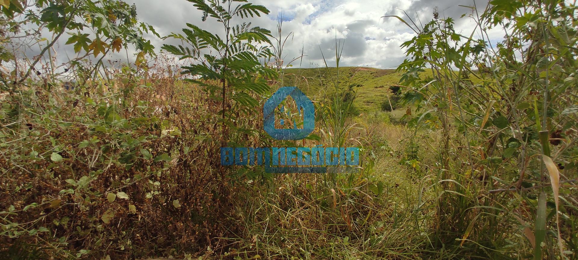 LOTE PLANO OTIMA TOPOGRAFIA BEM LOCALIZADO COM SOL DA MANHA E ...