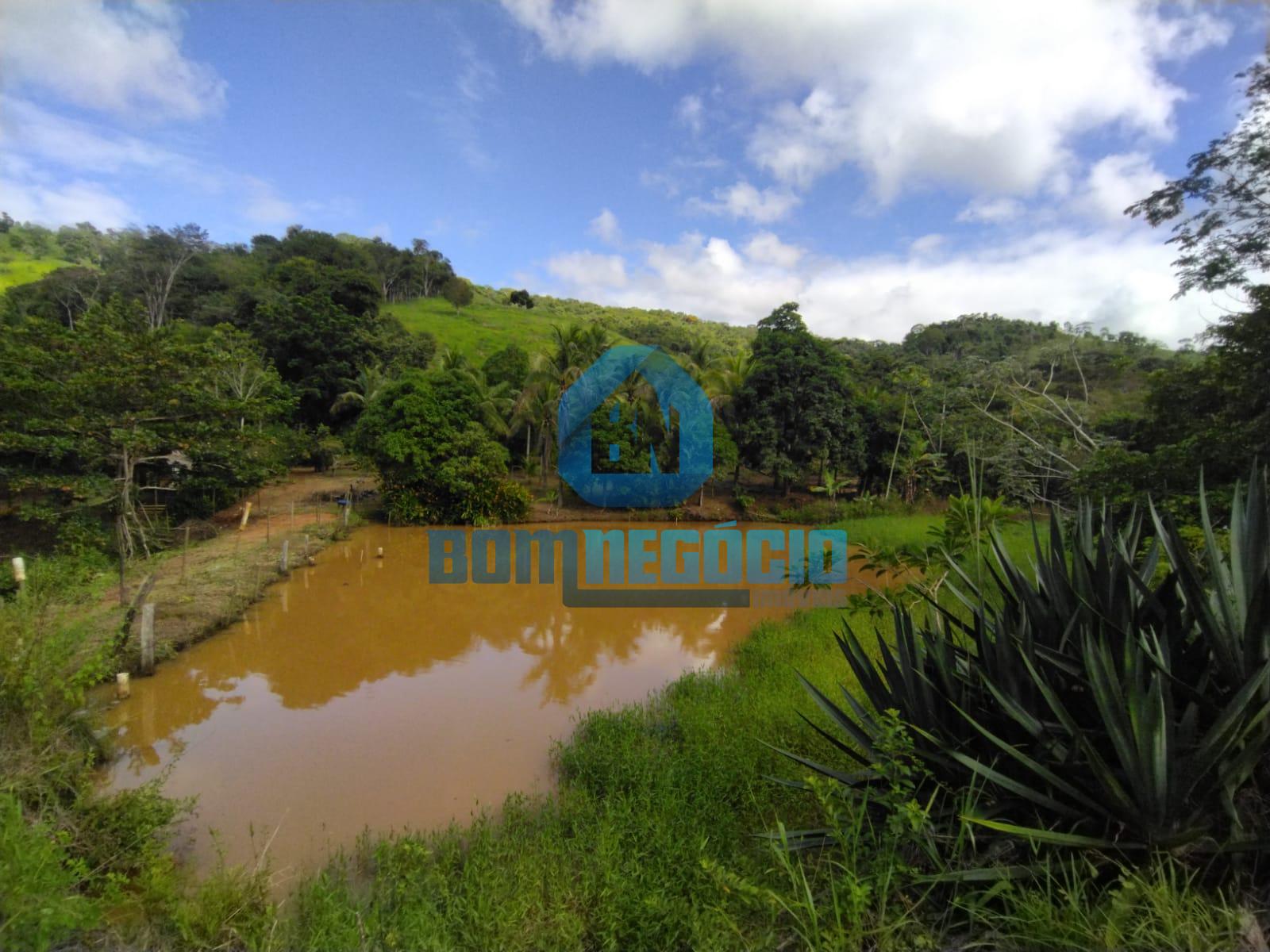 Sitío a Venda em Conceição de Tronqueiras com 3,4 Alqueires em...