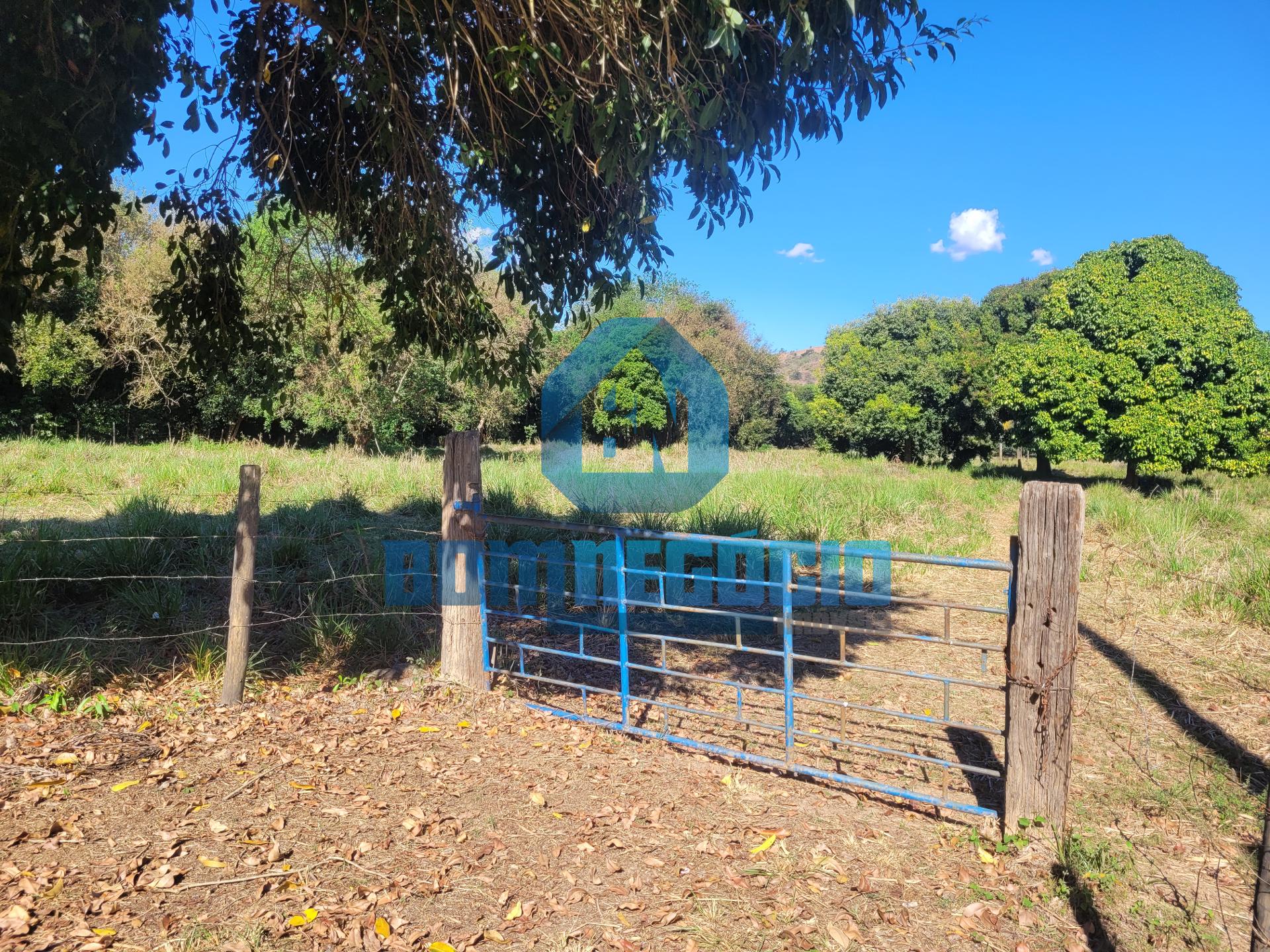 Chácara plana, documentada e cercada à venda, Ilha Brava, GOVE...