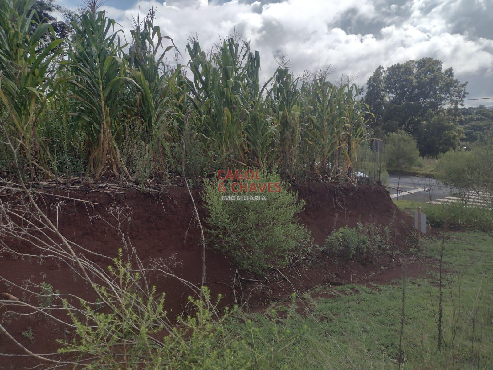 Terreno ? venda, FRARON, PATO BRANCO - PR