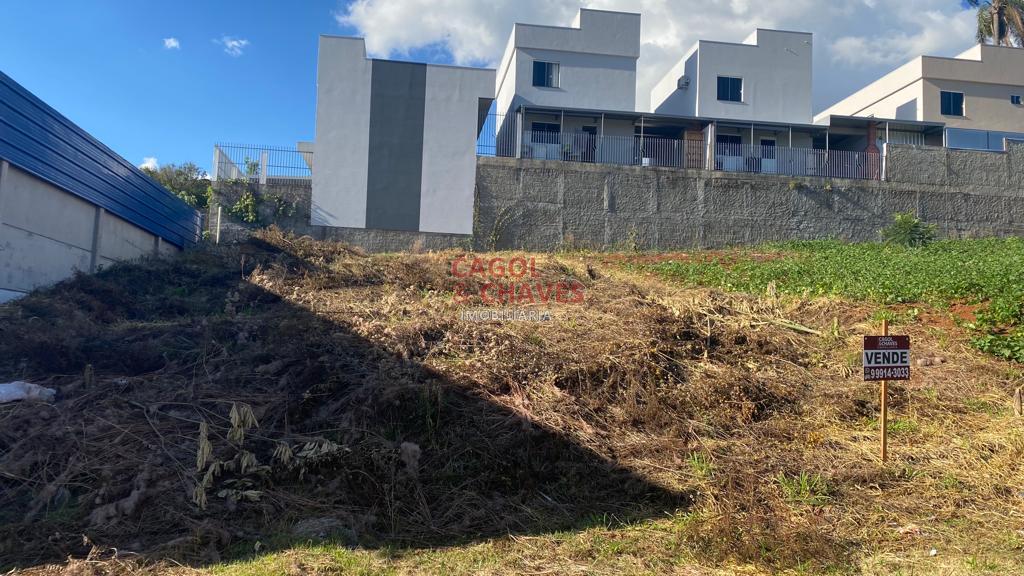 Terreno ? venda, Pinheirinho, PATO BRANCO - PR
