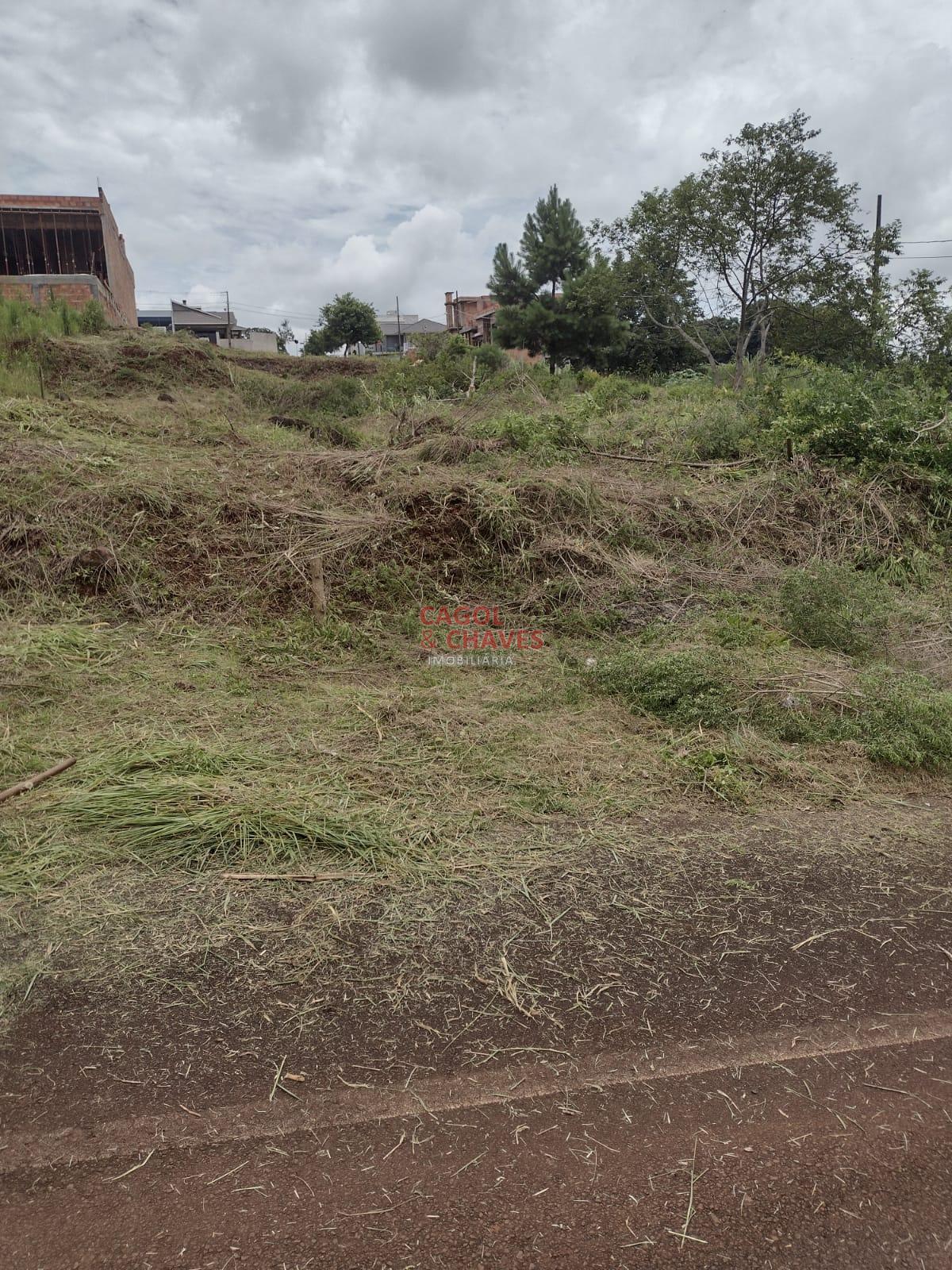 Terreno ? venda, MENINO DEUS, PATO BRANCO - PR