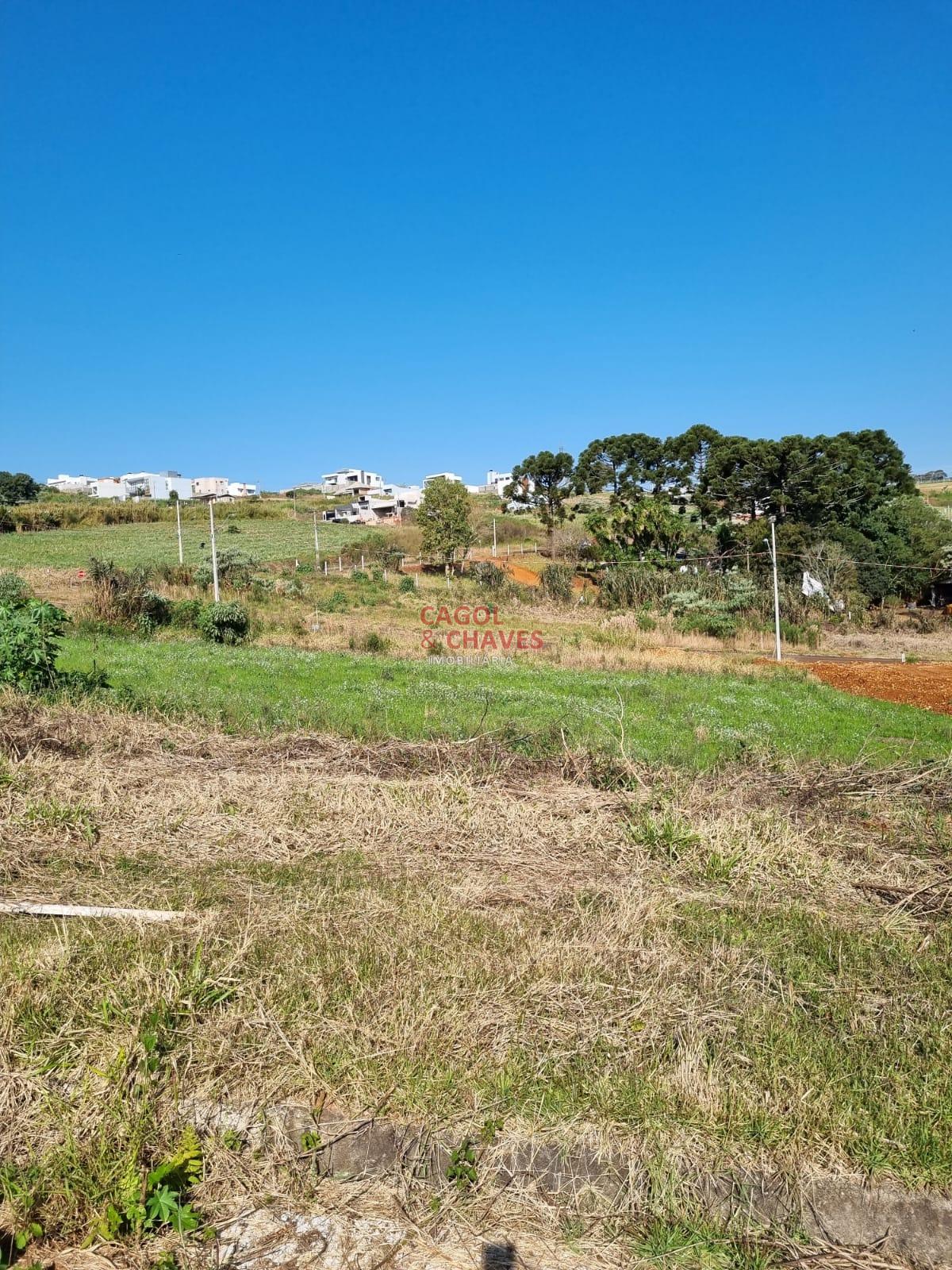 Terreno ? venda, S?O FRANCISCO, PATO BRANCO - PR