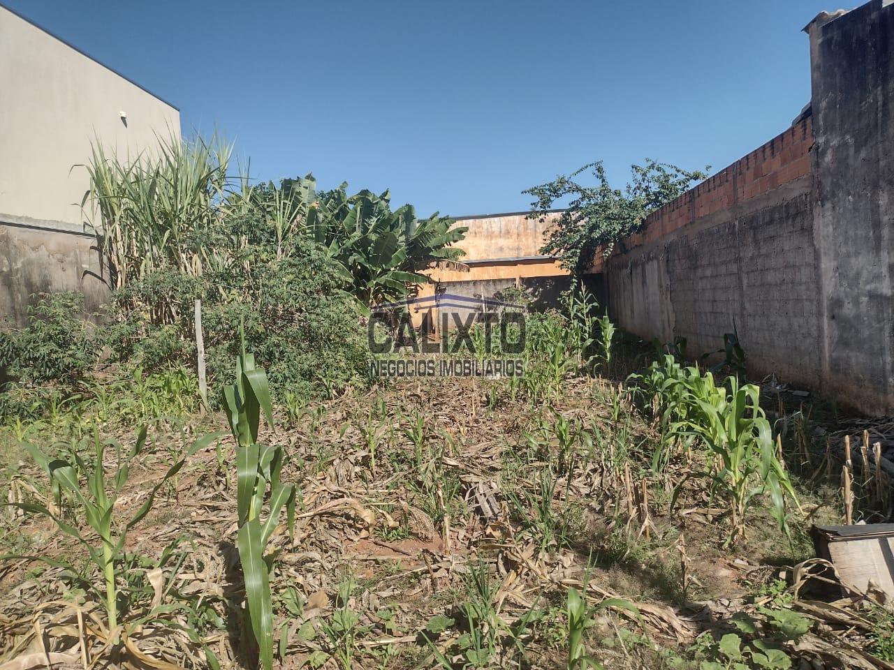 TERRENO BAIRRO  TUBALINA