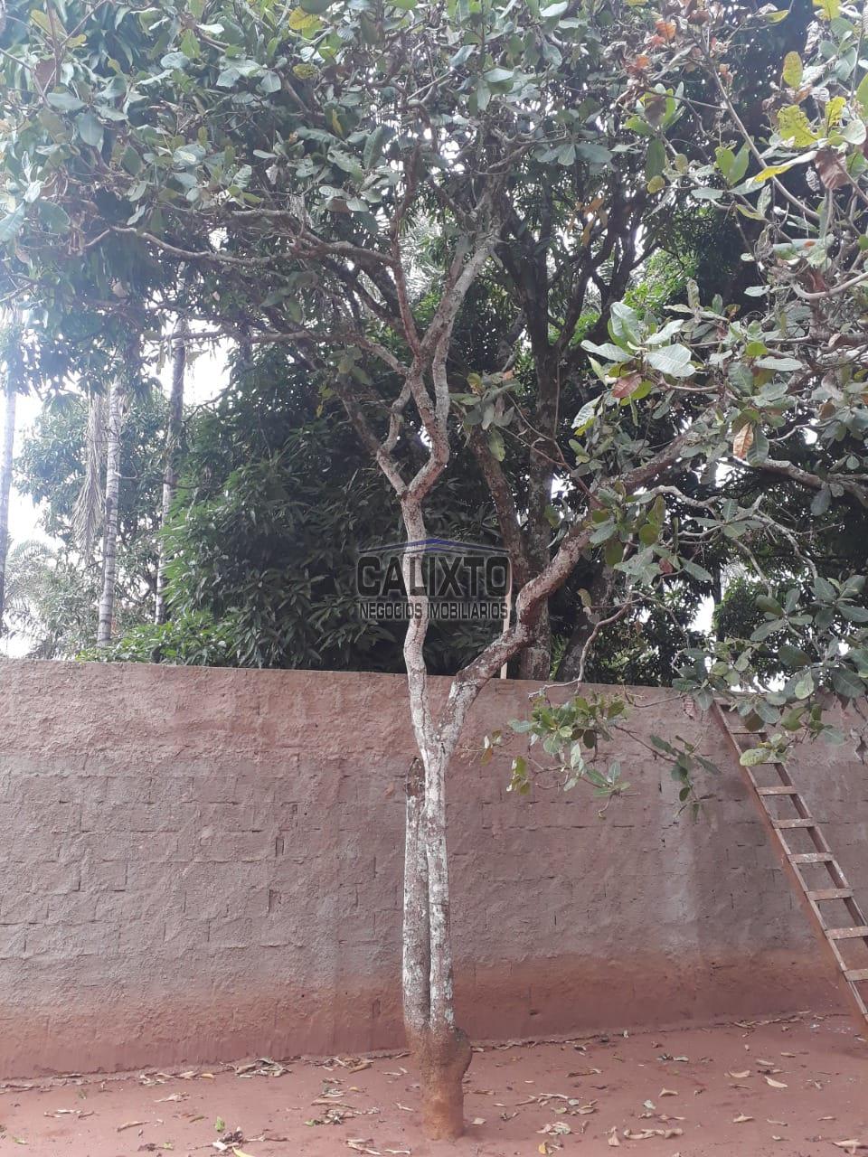 CASA BAIRRO  MORADA NOVA
