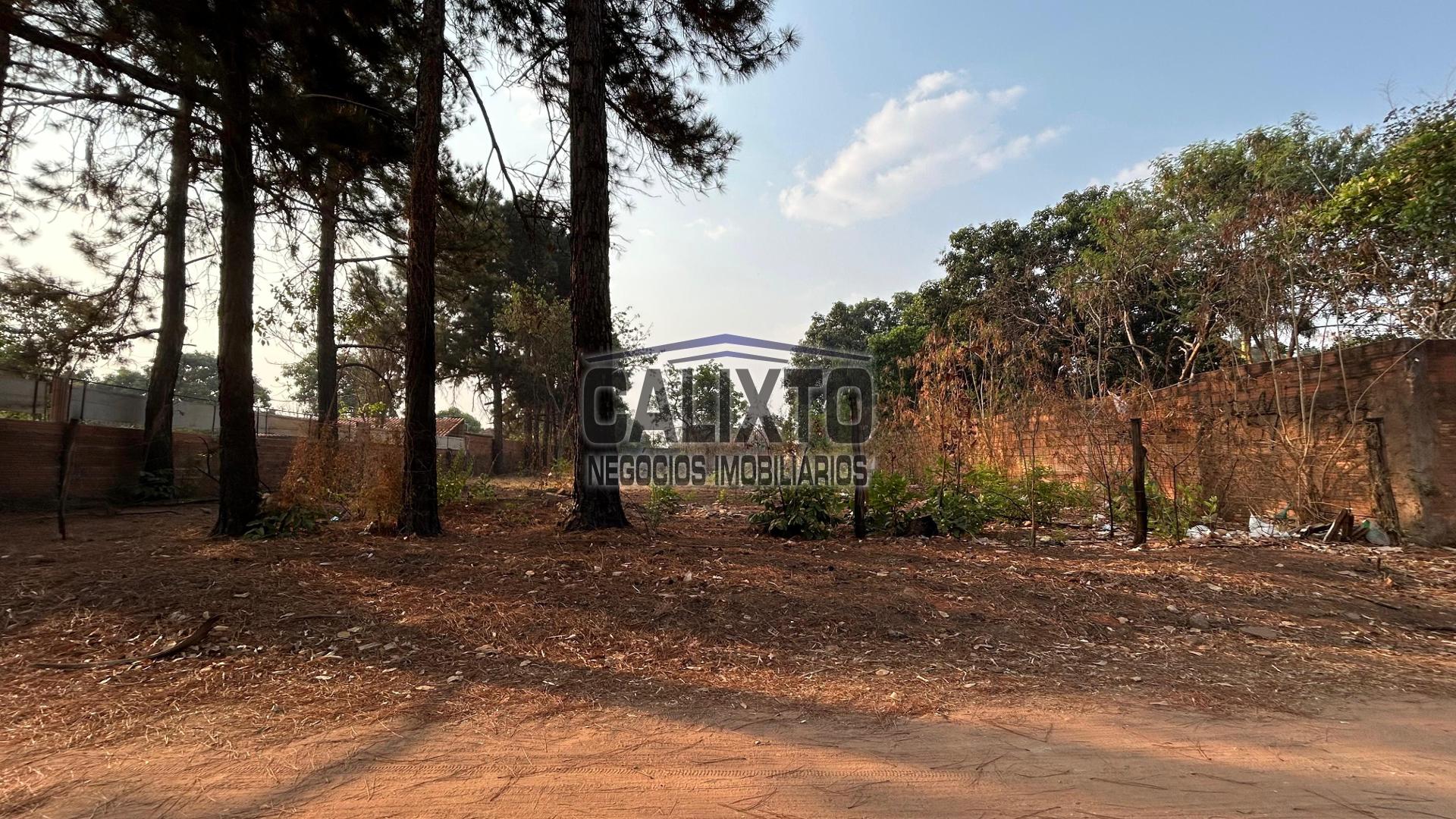 CHACARA BAIRRO MORADA NOVA