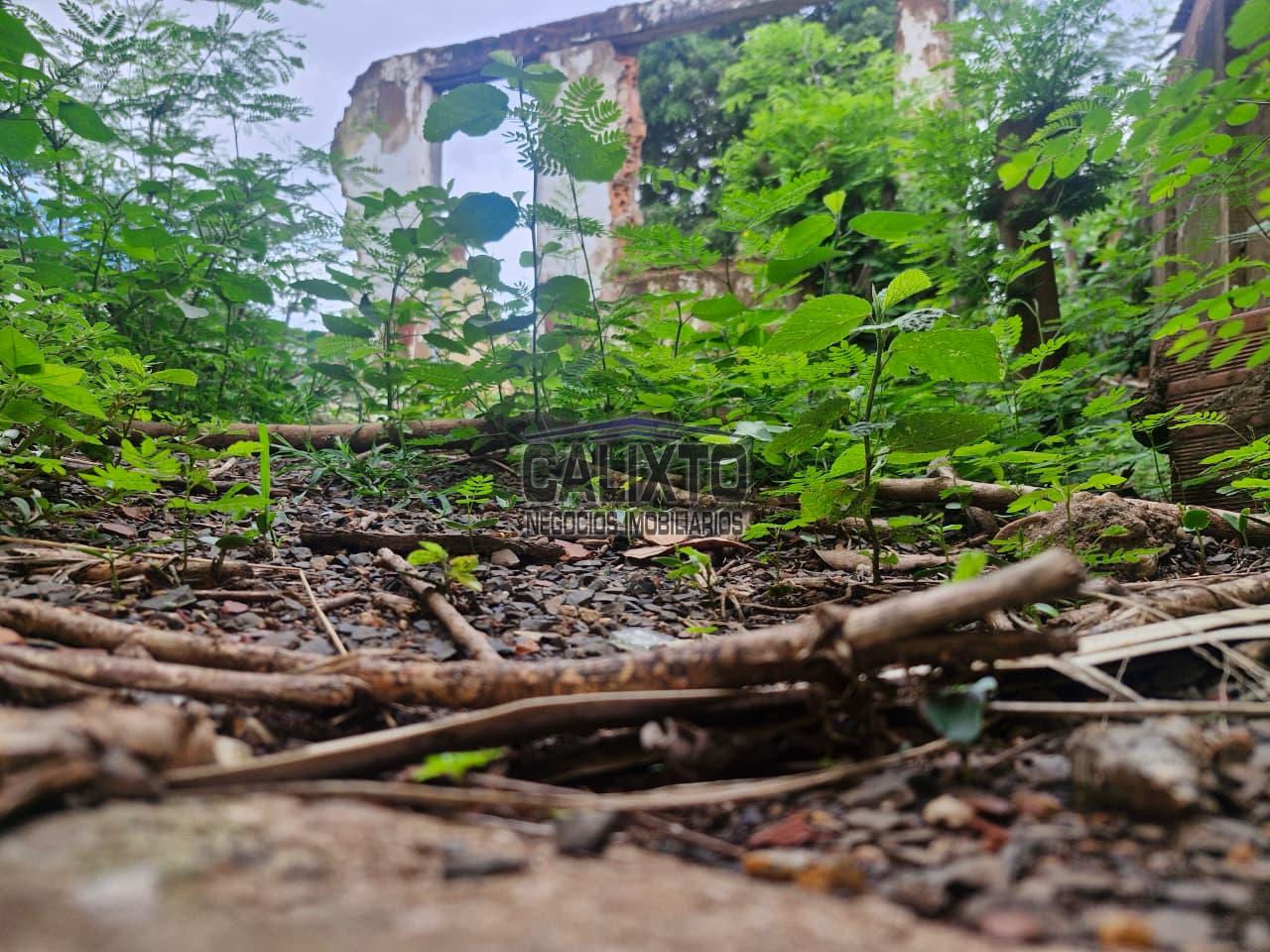 TERRENO BAIRRO ROOSEVELT