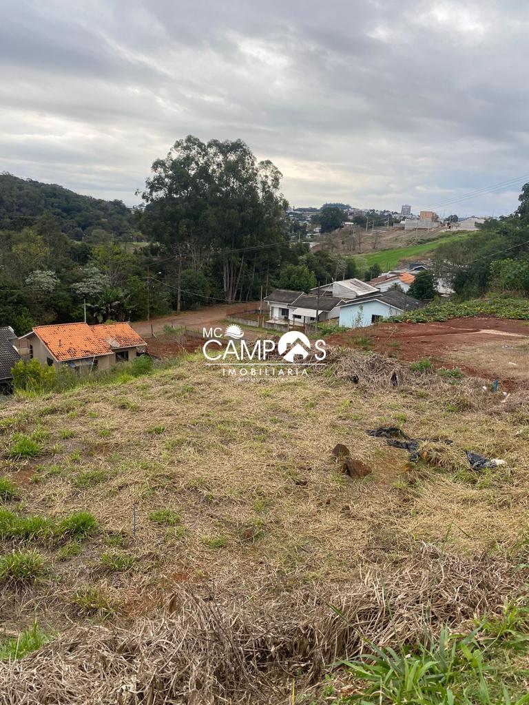 Lote, São Francisco Xavier, DOIS VIZINHOS - PR