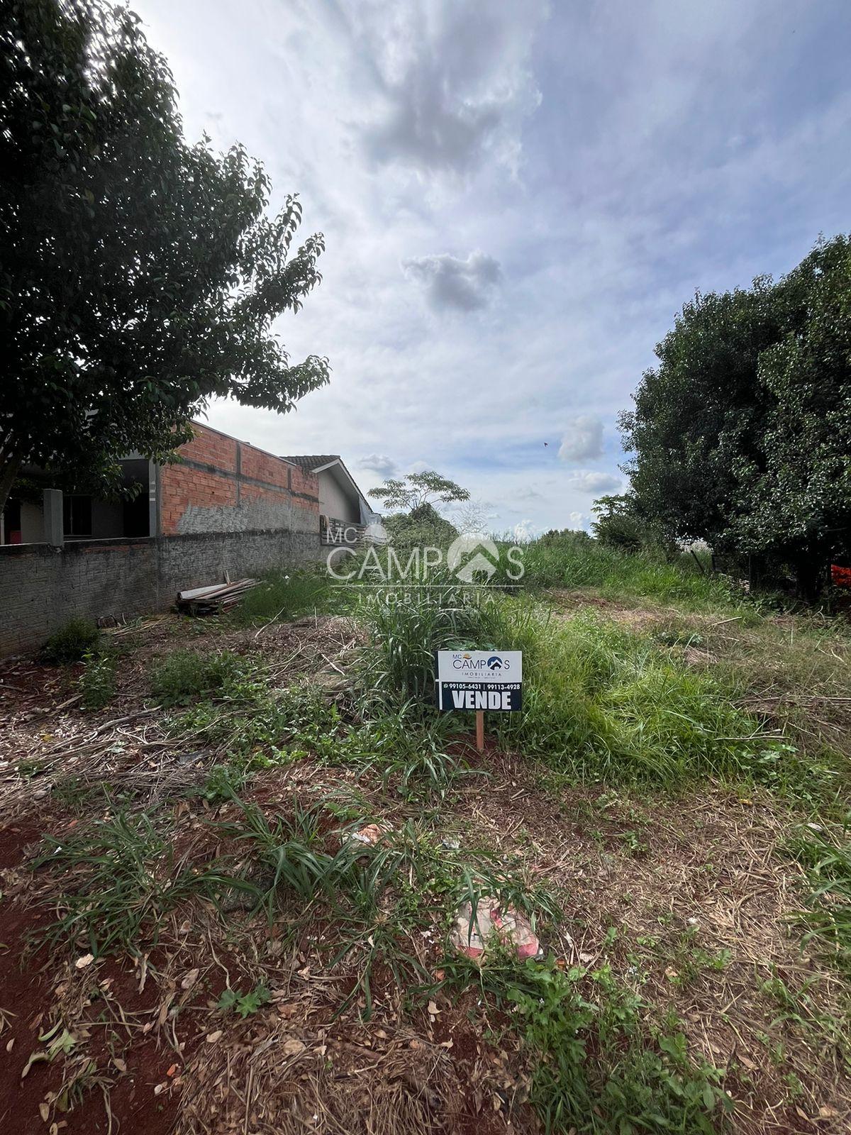 Lote, Sagrada Família, DOIS VIZINHOS - PR