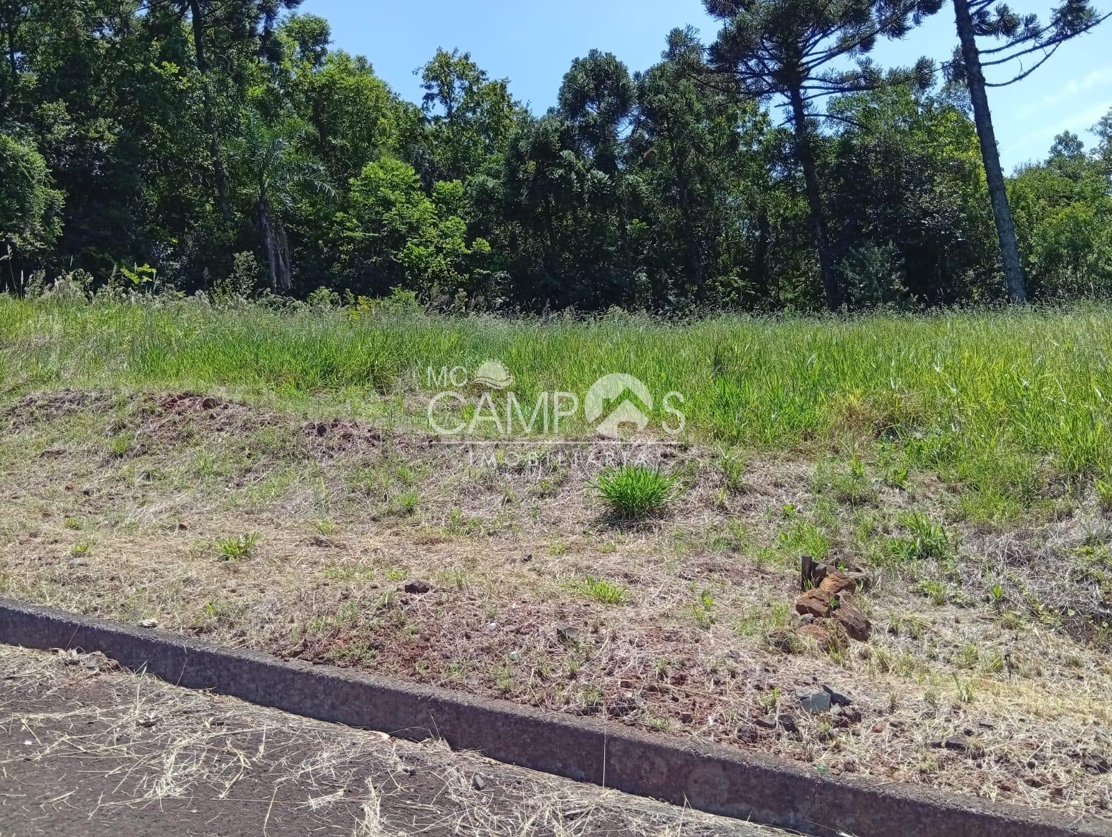 Lote, ALTO DA ZACARIAS, DOIS VIZINHOS - PR