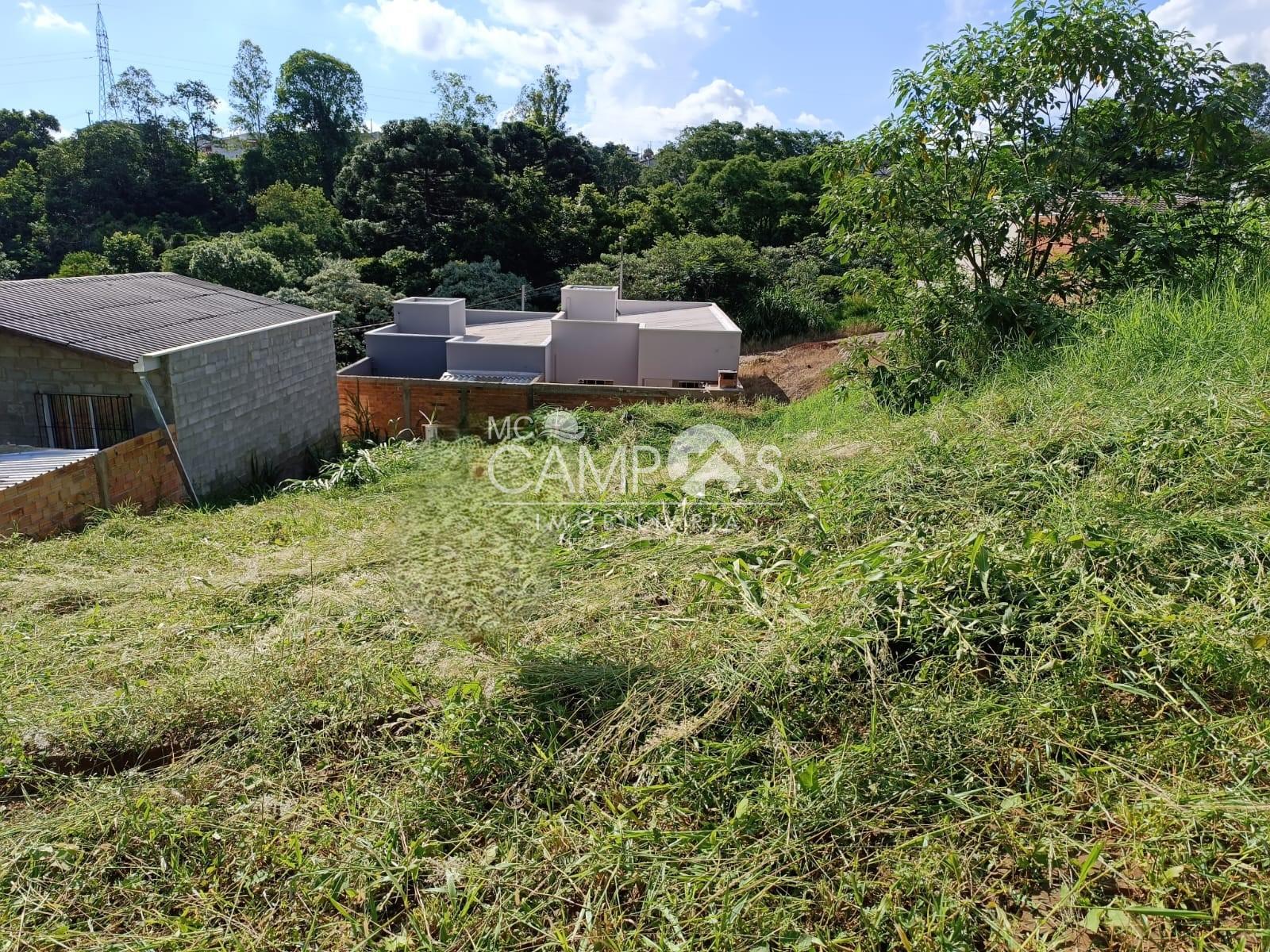 Lote à venda, Bairro São Francisco de Assis , DOIS VIZINHOS - PR