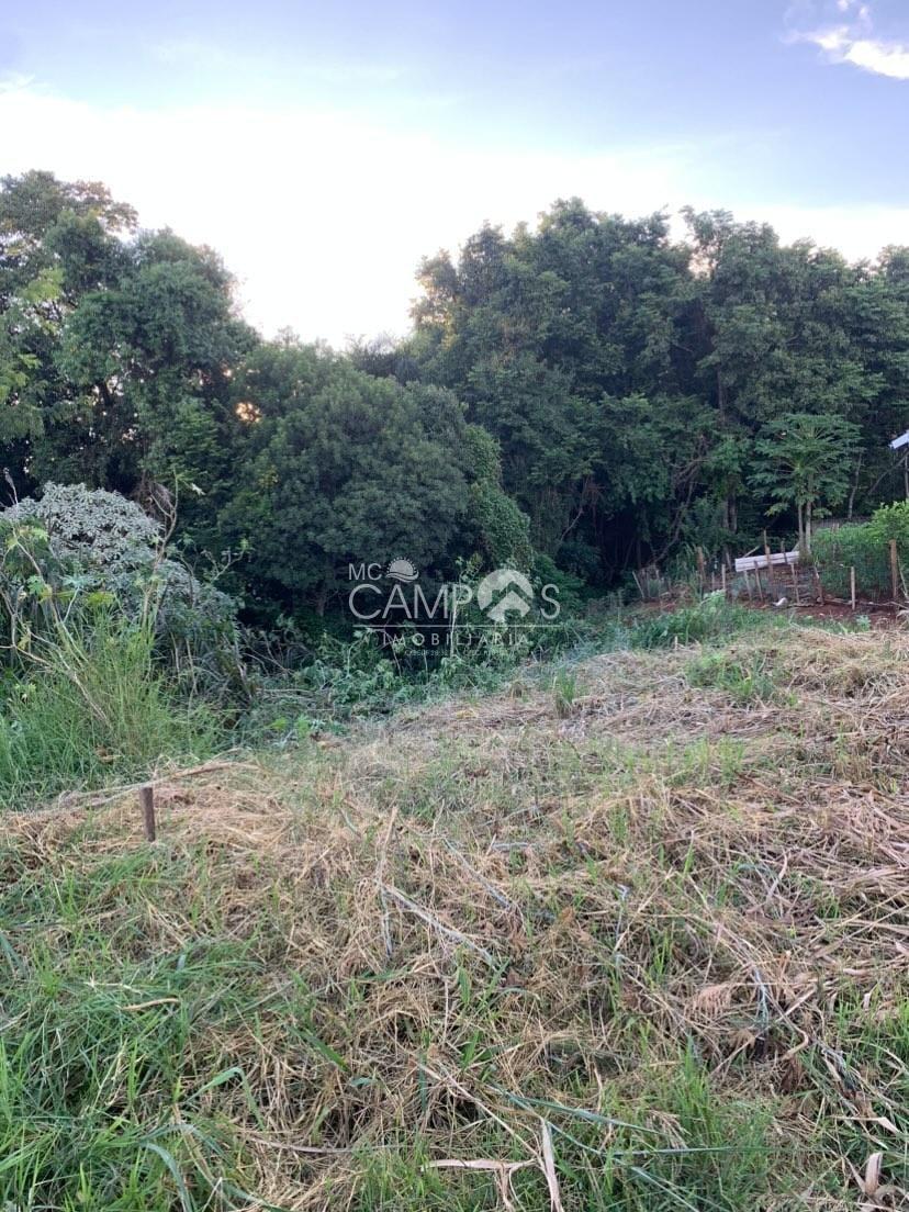 Lote à venda, Bairro São Francisco de Assis, DOIS VIZINHOS - PR