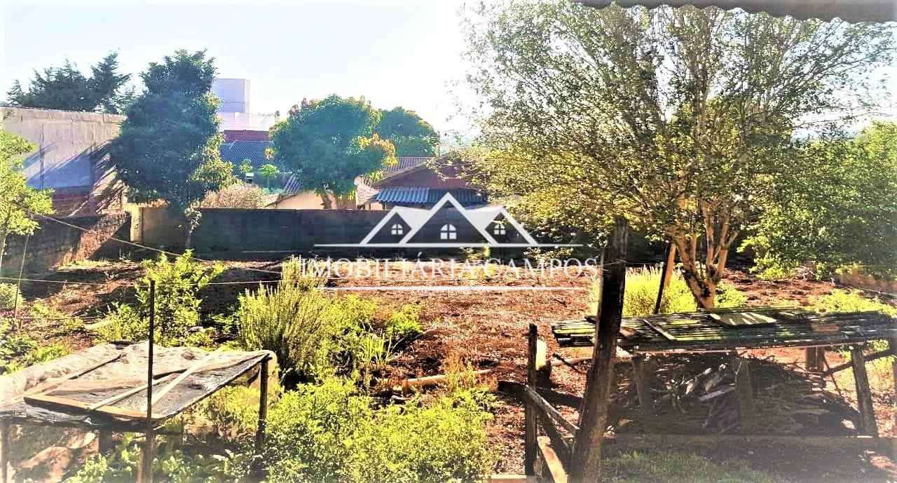 TERRENO COM CASA NO CENTRO DE TOLEDO PARA VENDA