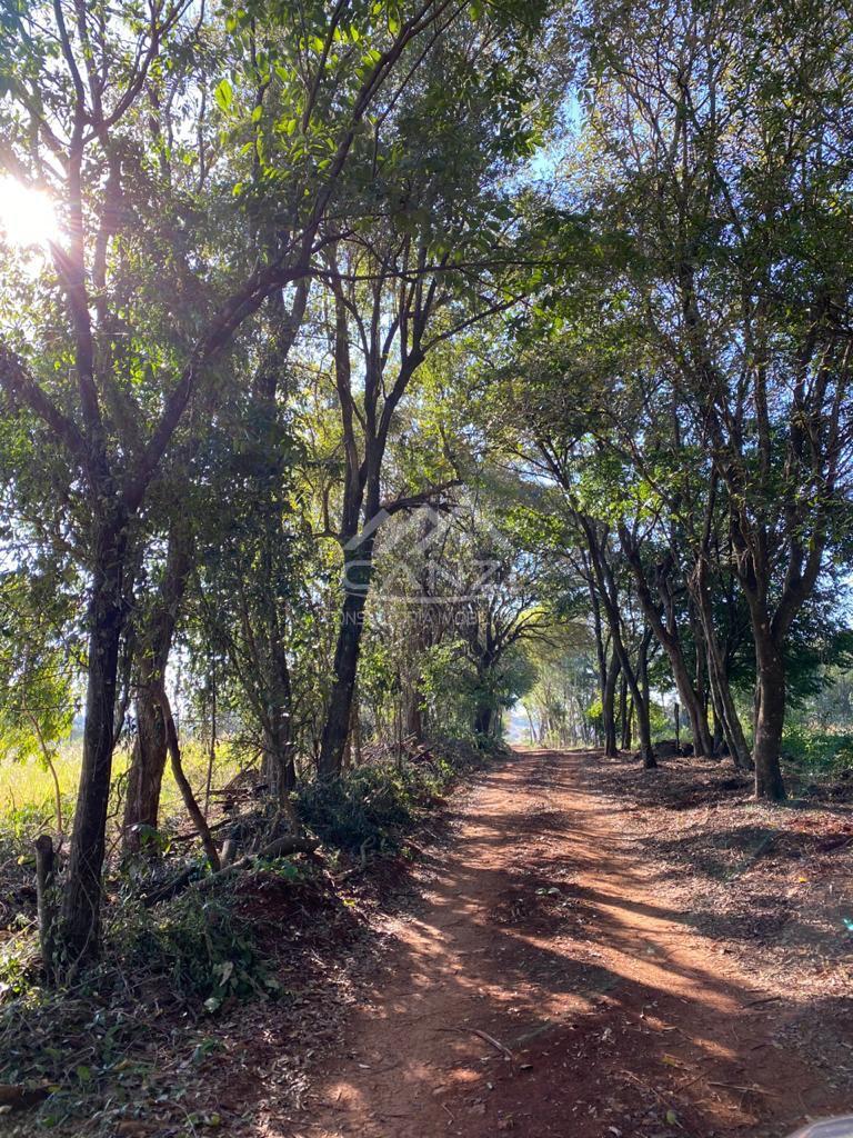Canzi Consultoria Imobiliria em Realeza PR