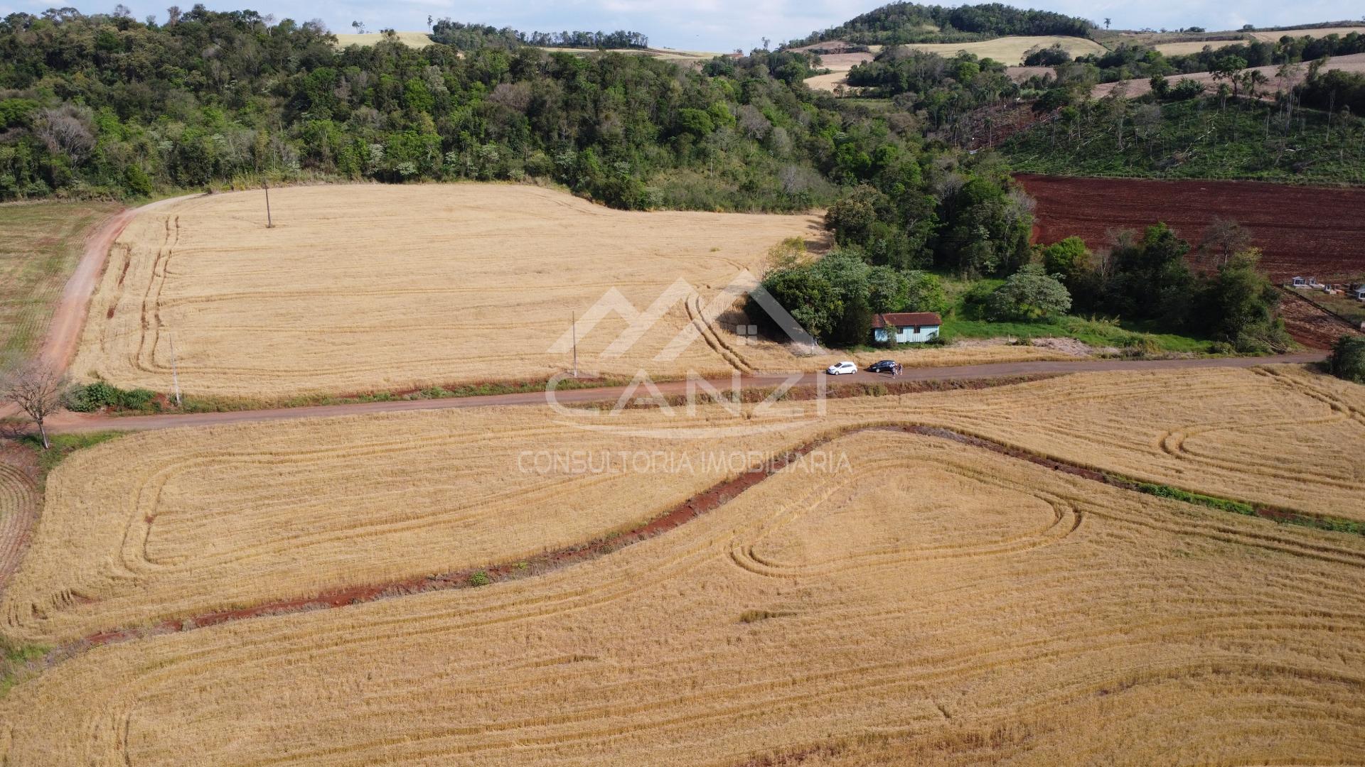 Canzi Consultoria Imobiliria em Realeza PR
