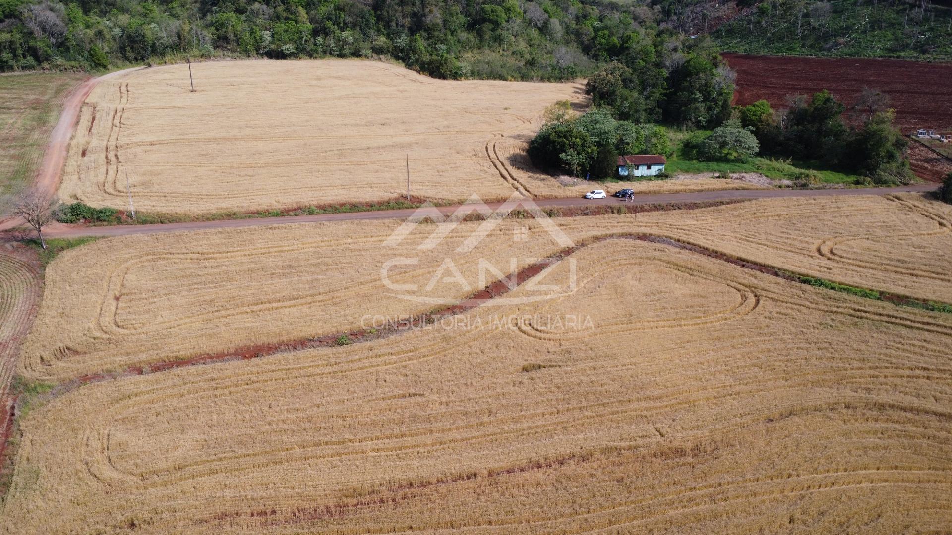 Canzi Consultoria Imobiliria em Realeza PR