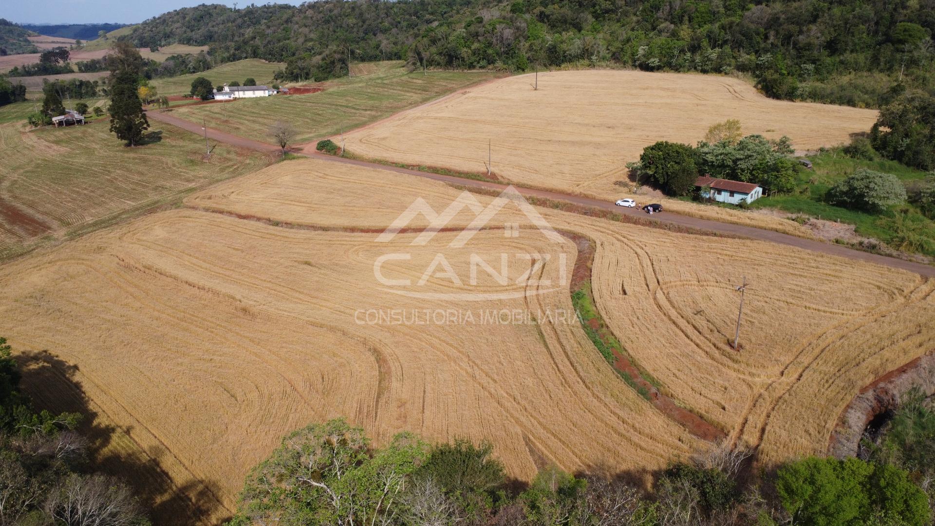 Canzi Consultoria Imobiliria em Realeza PR