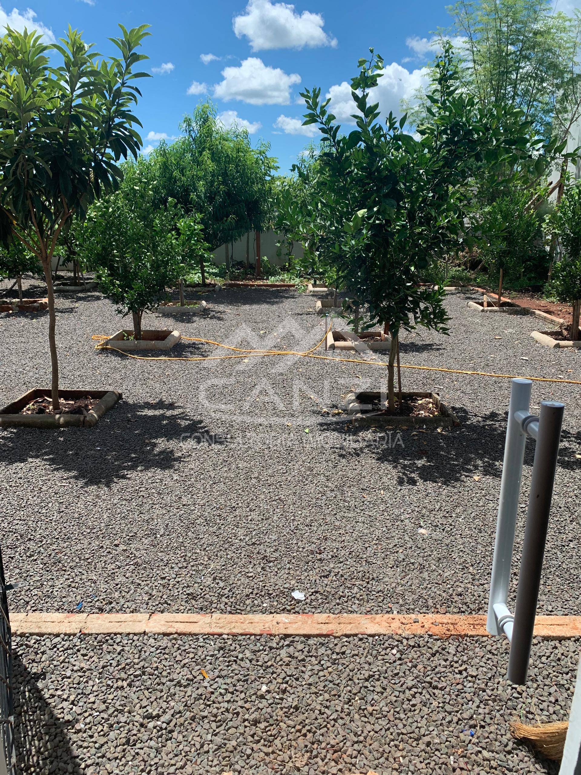 Canzi Consultoria Imobiliria em Realeza PR