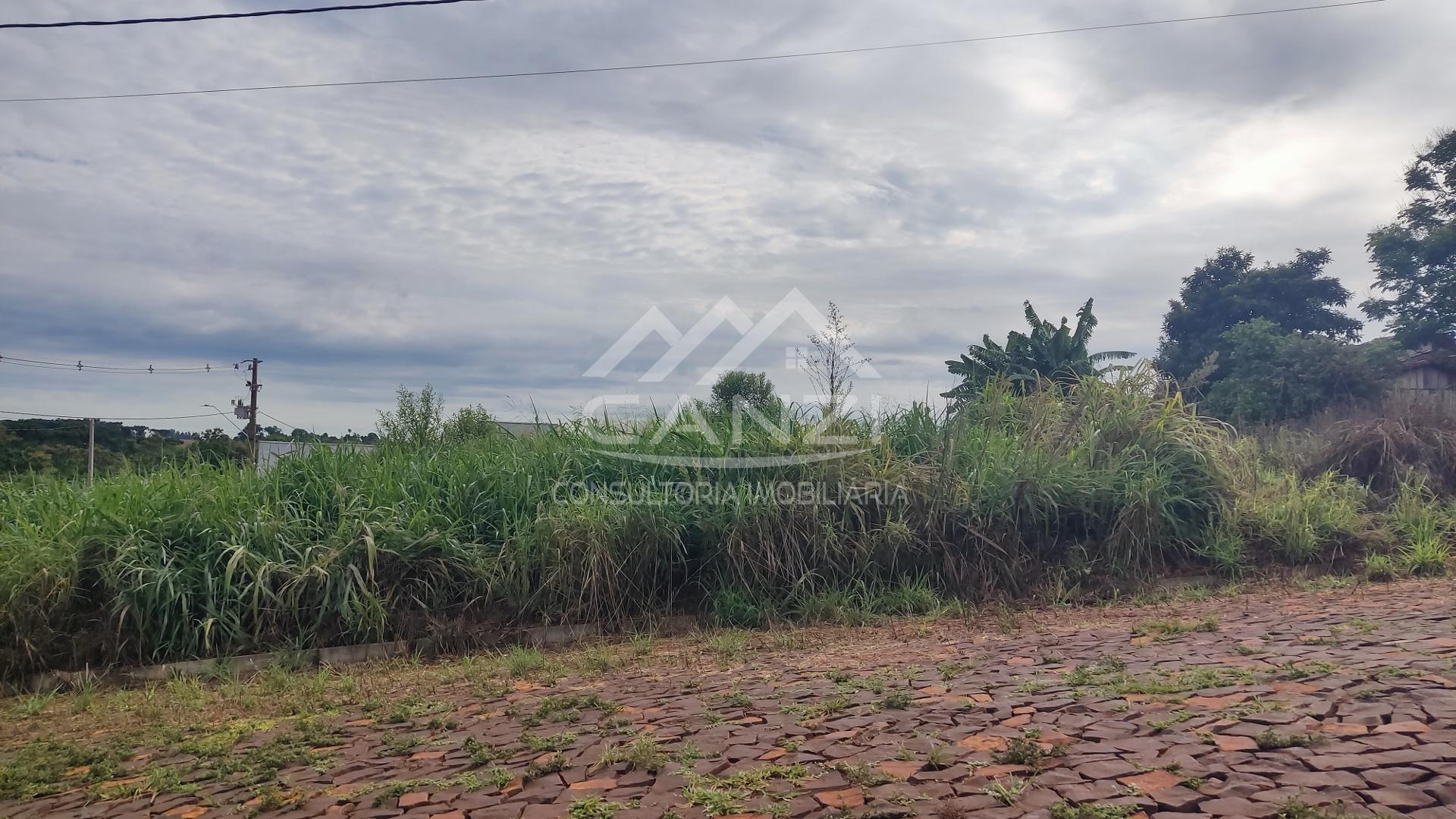 Canzi Consultoria Imobiliria em Realeza PR